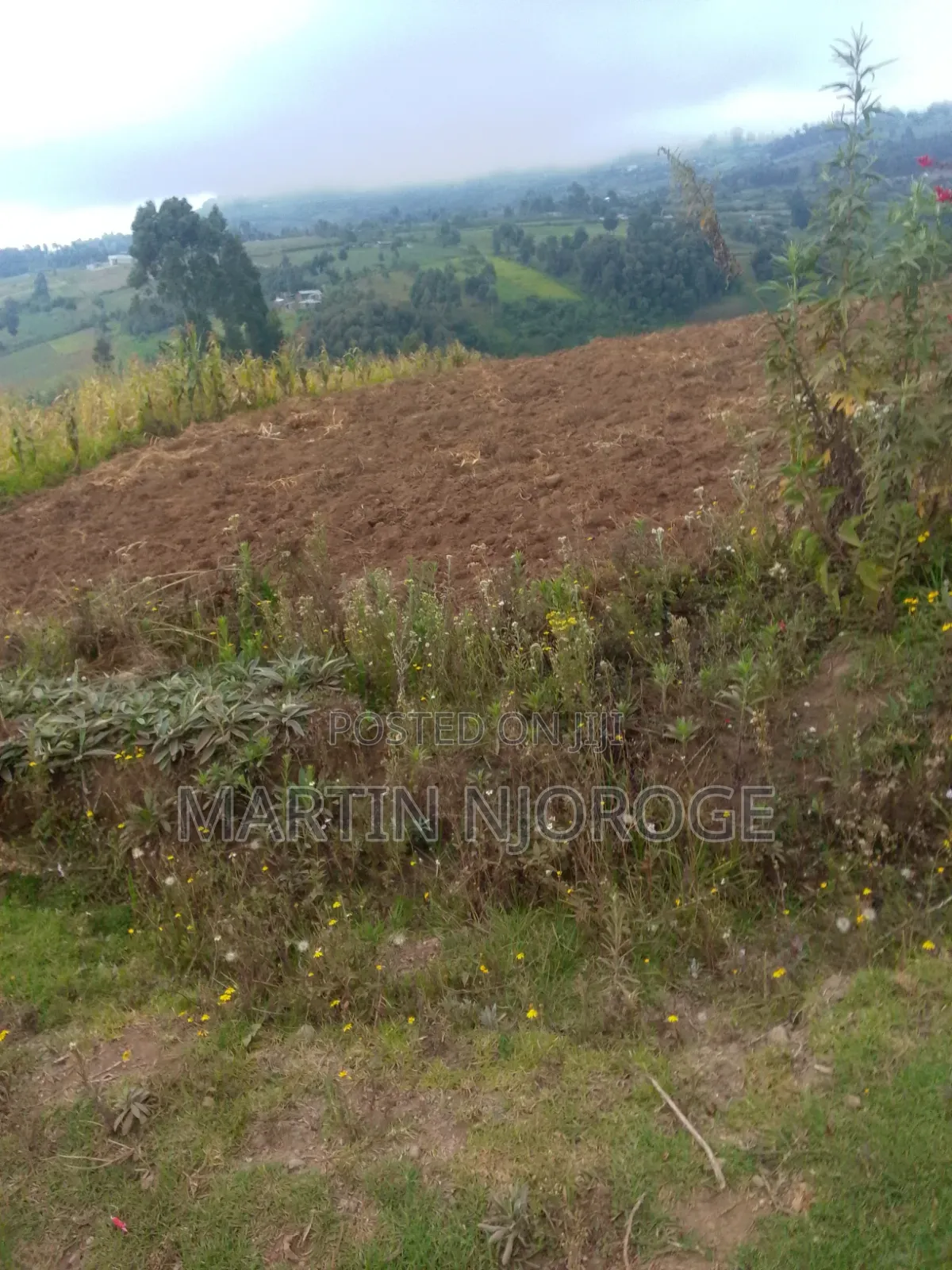 2 Acres Fryover in Naivasha East