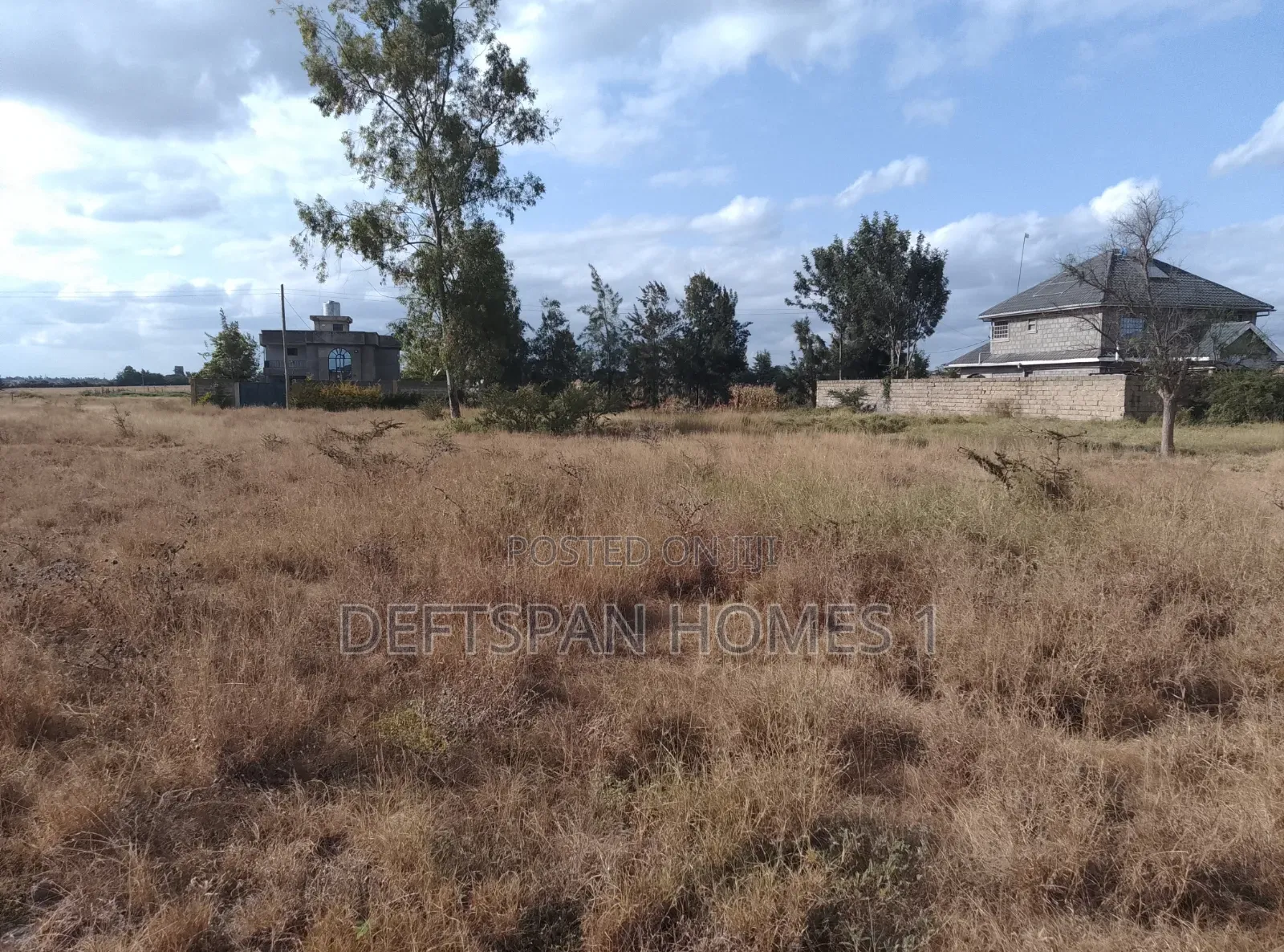 40 by 80 Plots in Joska