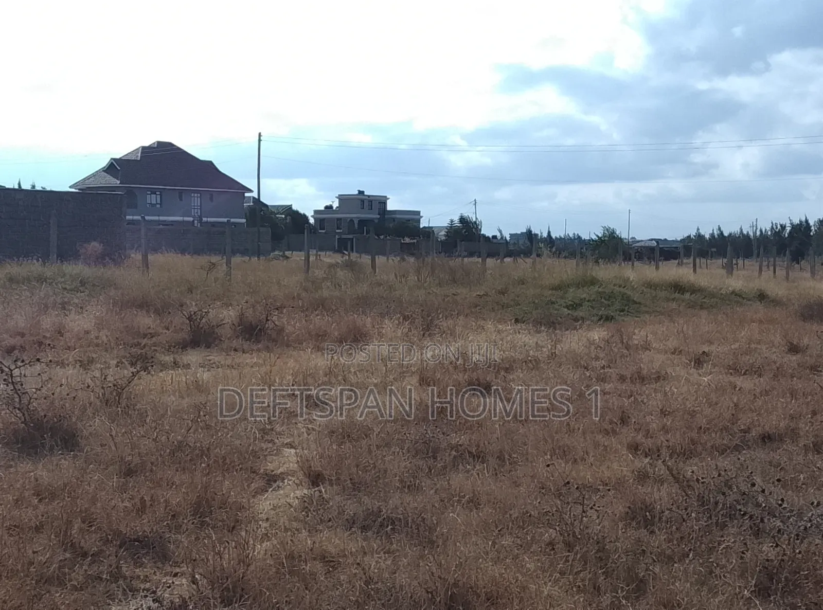 40 by 80 Plots in Joska