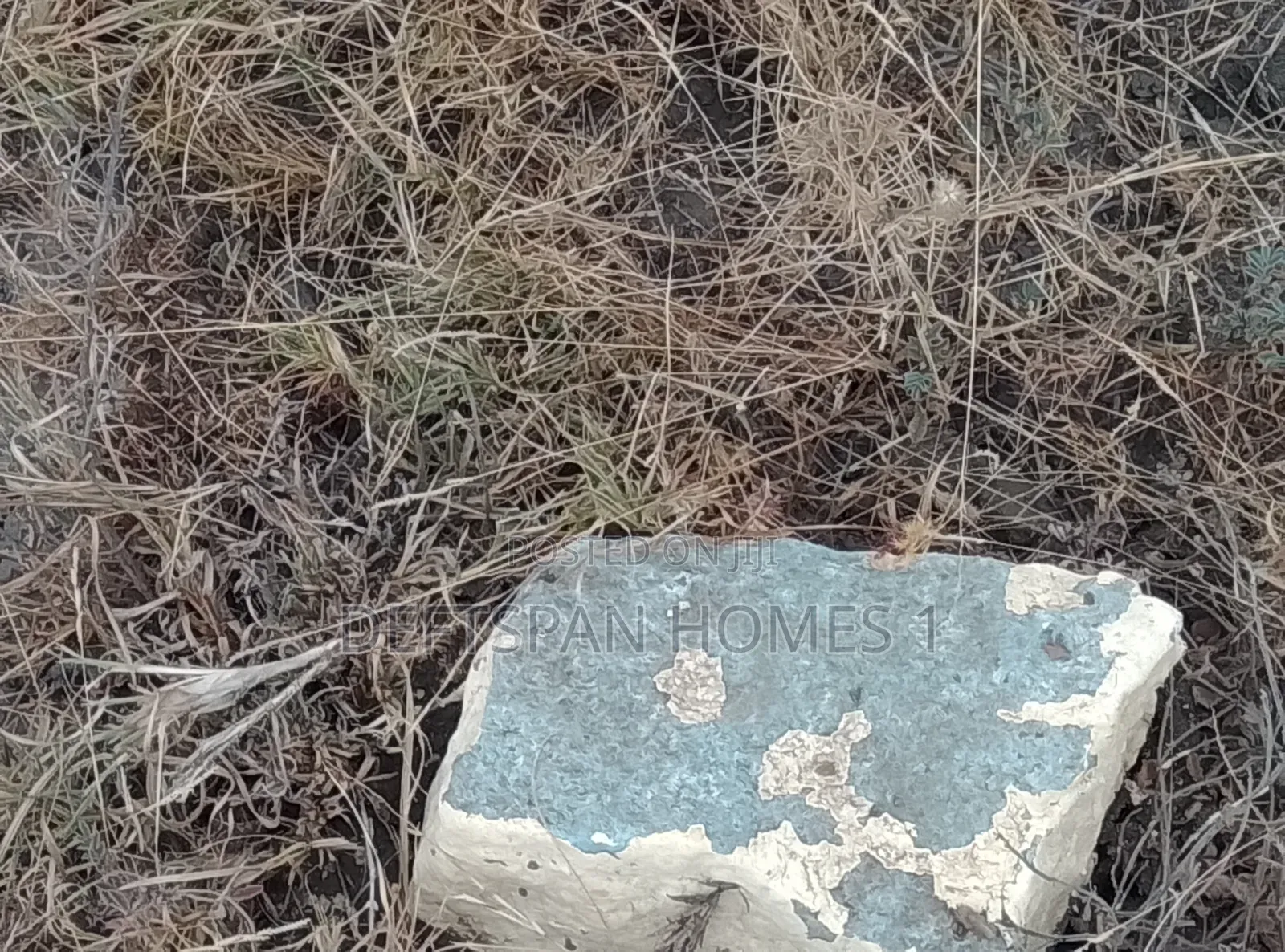 100 by 100 Plot Selling at Kantafu in Kangundo Central
