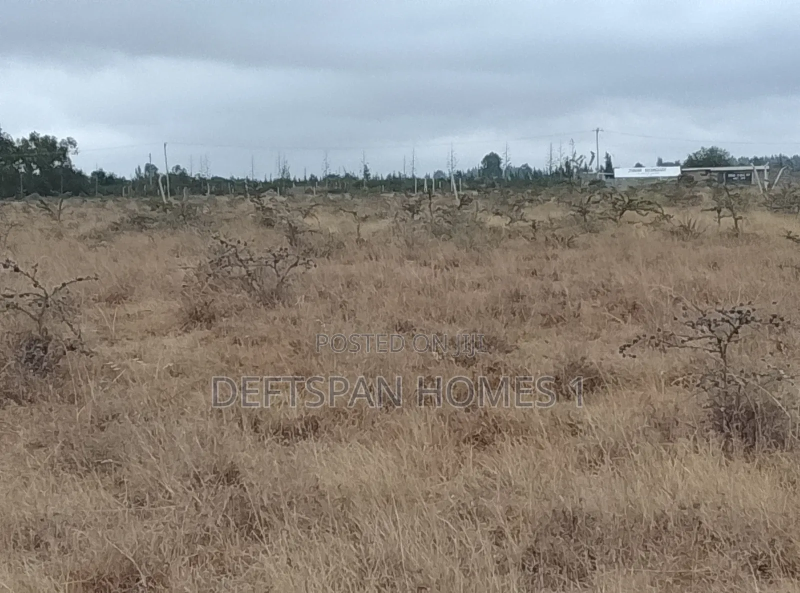 100 by 100 Plot Selling at Kantafu in Kangundo Central