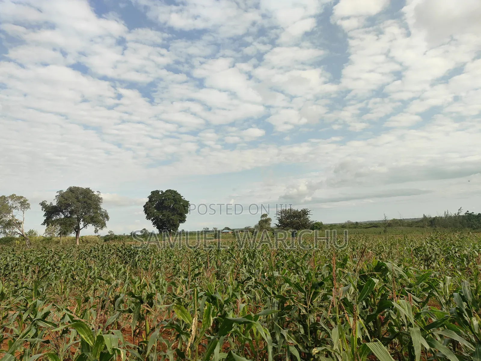 1 ACRE Prime Affordable Land Marereni Malindi in Adu