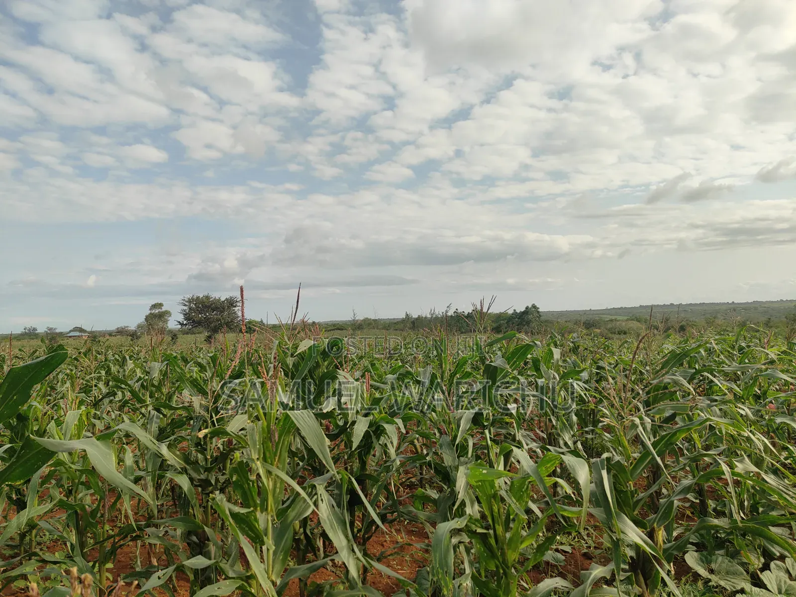 1 ACRE Prime Affordable Land Marereni Malindi in Adu