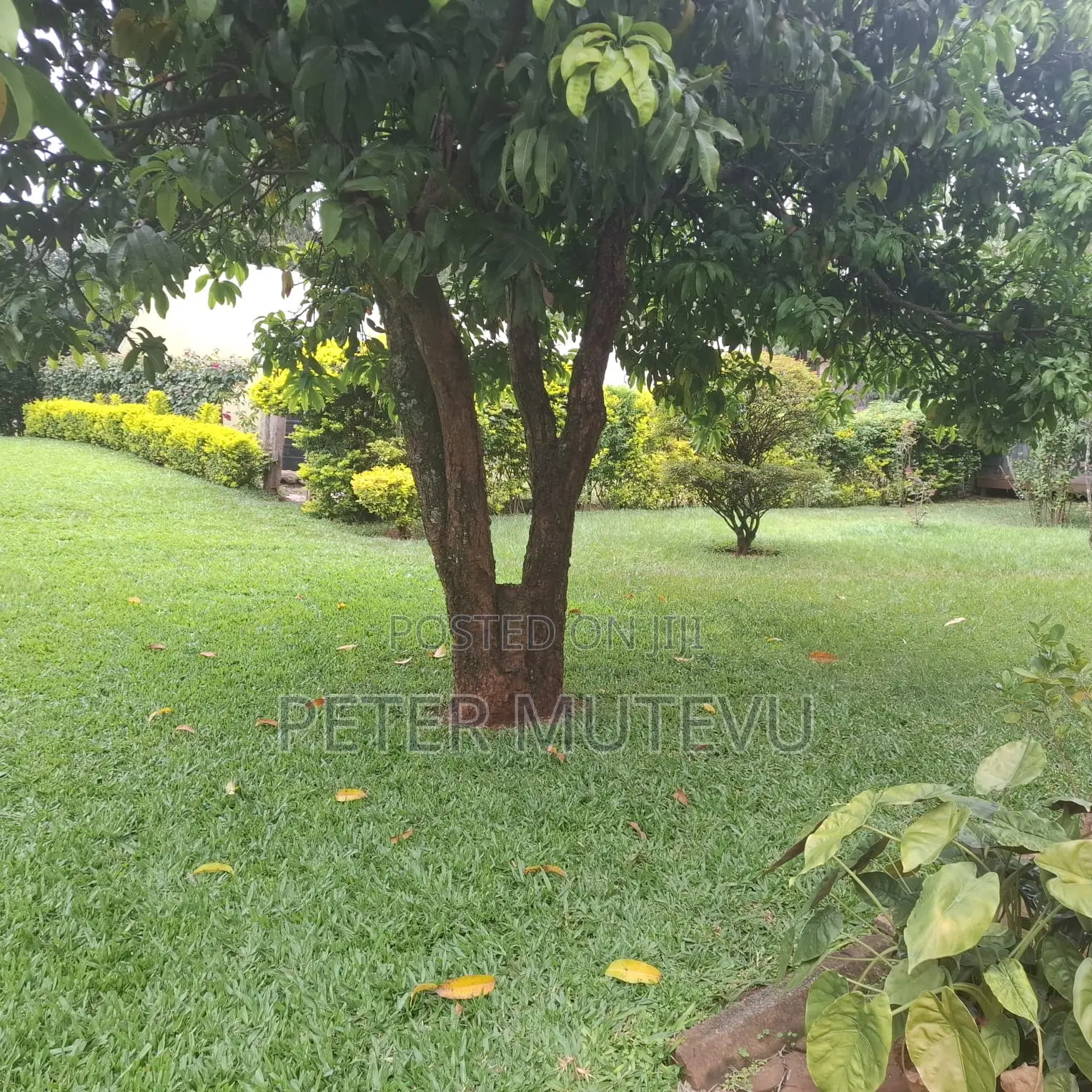 6bdrm House in Hardy for sale in Hardy