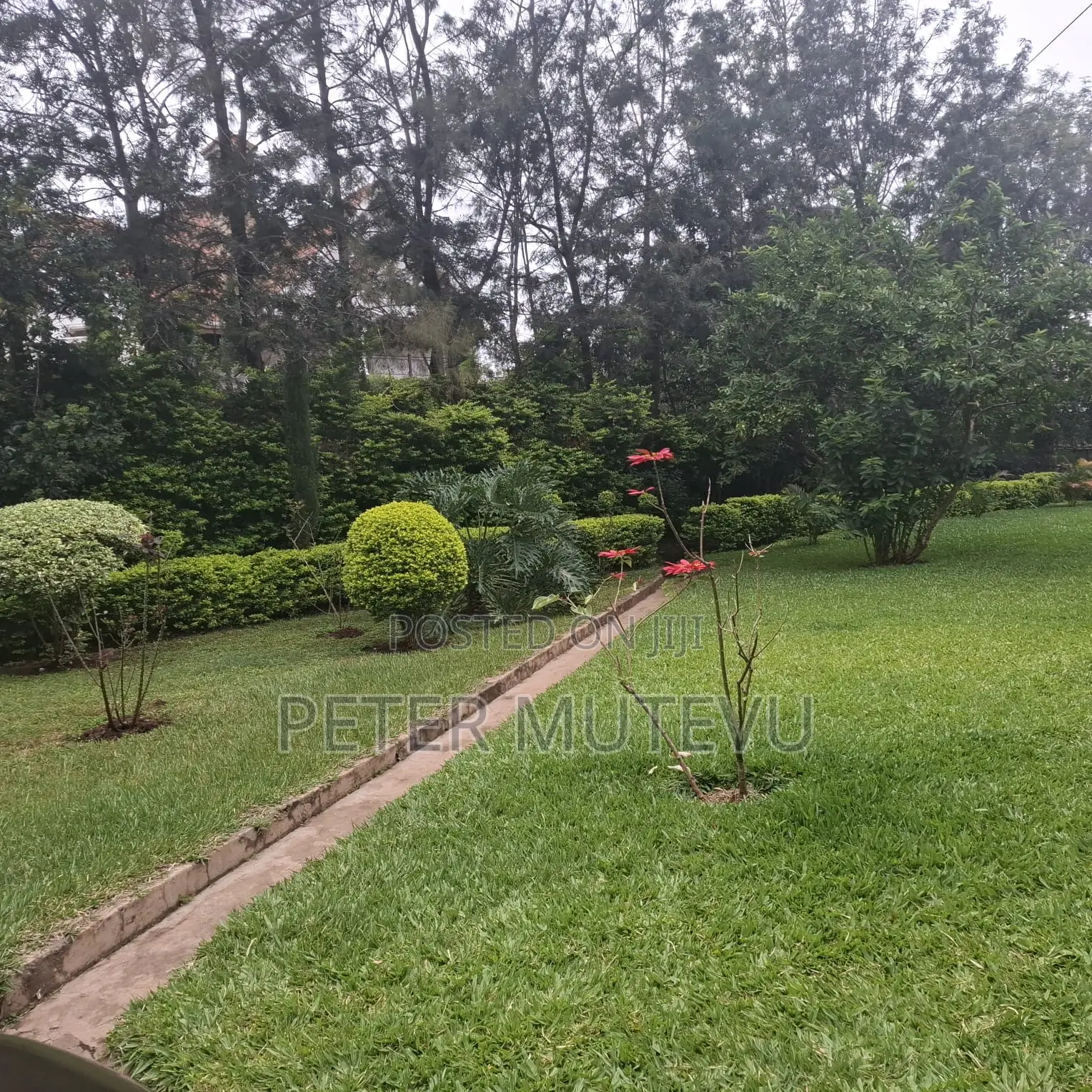 6bdrm House in Hardy for sale in Hardy