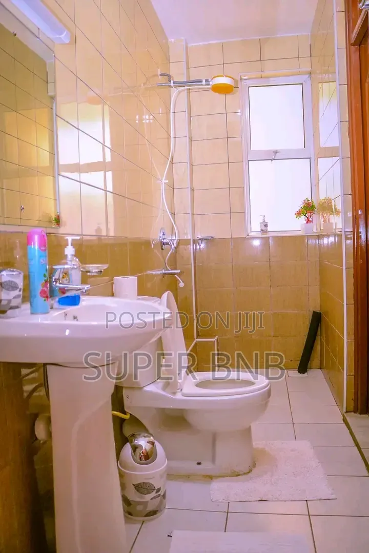 Three Bedroom Airbnb in Nanyuki Is Furnished in Nanyuki