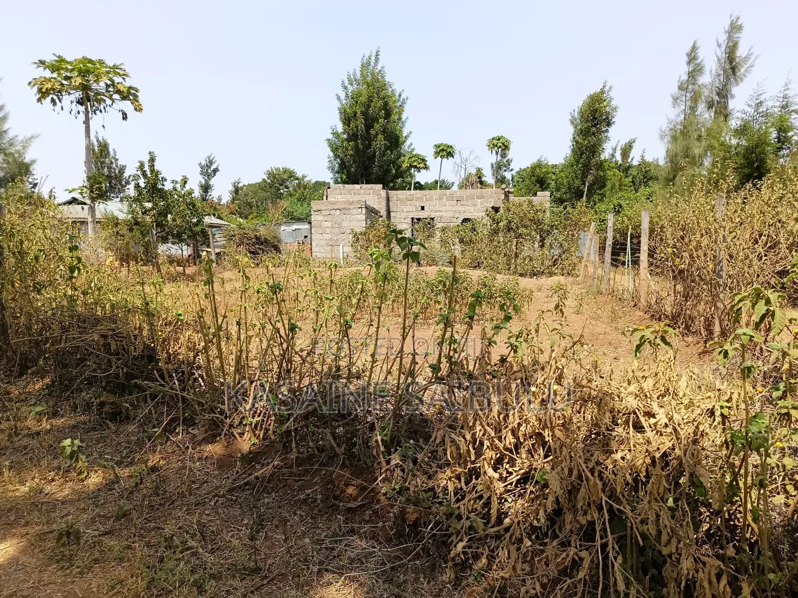 8plots for Sale in Kimana Tikondo Ready Tittle Deeds in Kimana