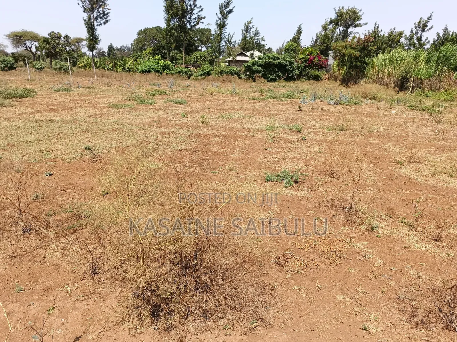8plots for Sale in Kimana Tikondo Ready Tittle Deeds in Kimana