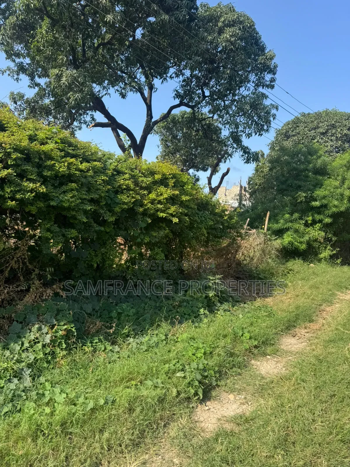 Prime Quarter an Acre Plot Mwembelegza Bamburi Mtambo in Mtambo