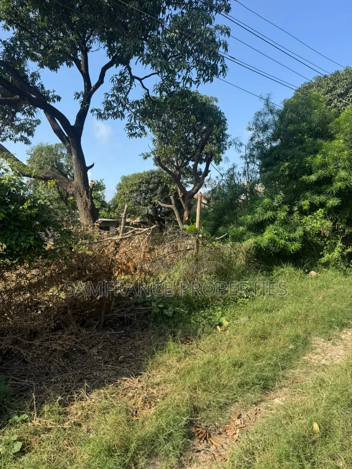 Prime Quarter an Acre Plot Mwembelegza Bamburi Mtambo in Mtambo