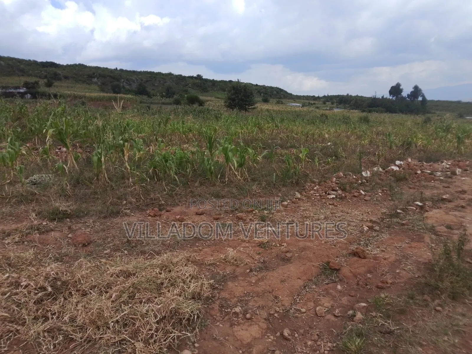 For Quick Sale 50/100 Plot in Gilgil Very Strategically Located in Kikopey
