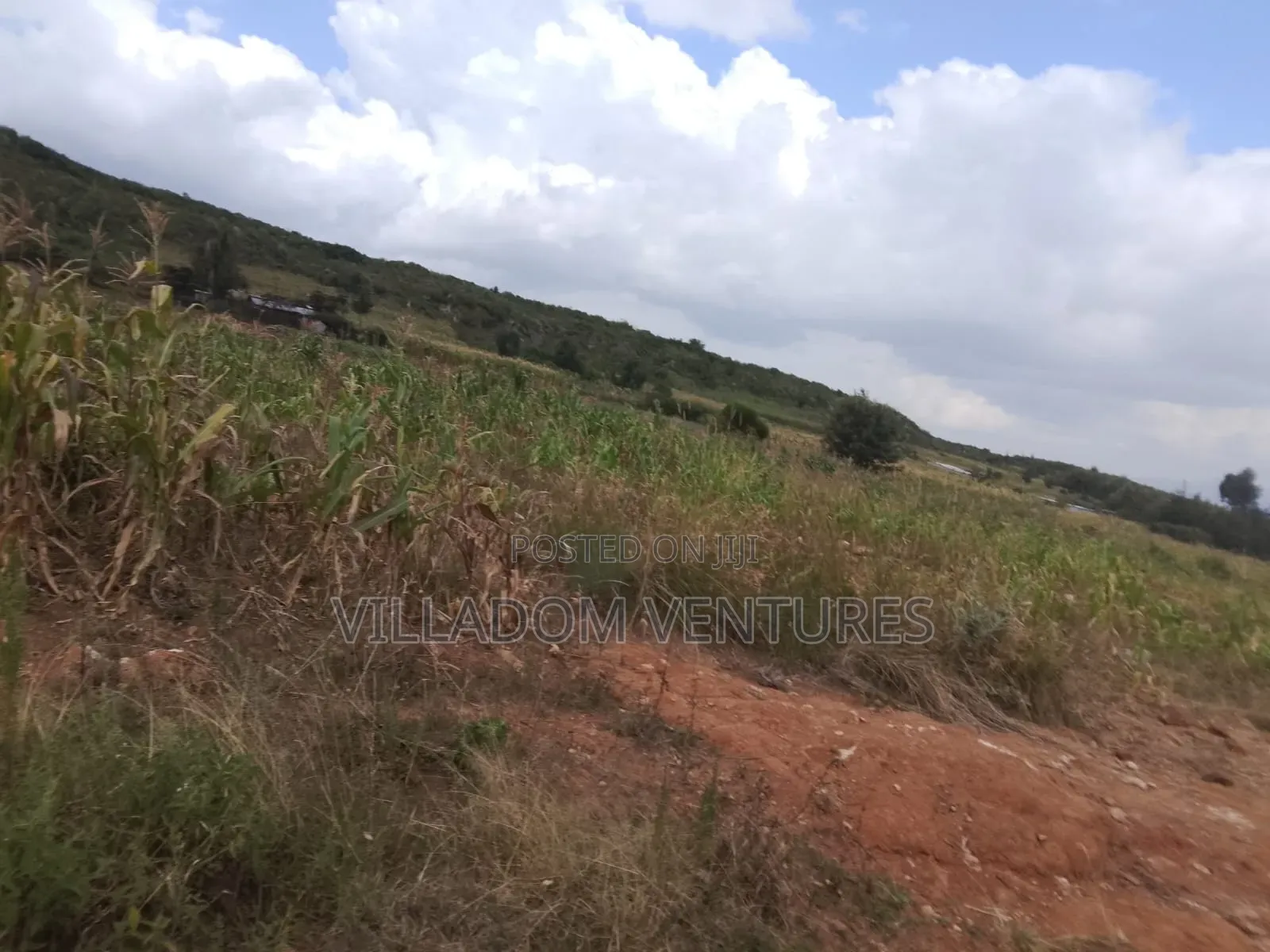 For Quick Sale 50/100 Plot in Gilgil Very Strategically Located in Kikopey