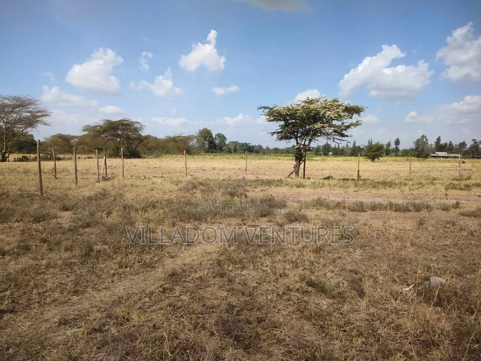 For Quick Sale 50/100 Plot in Gilgil Very Strategically Located in Kikopey