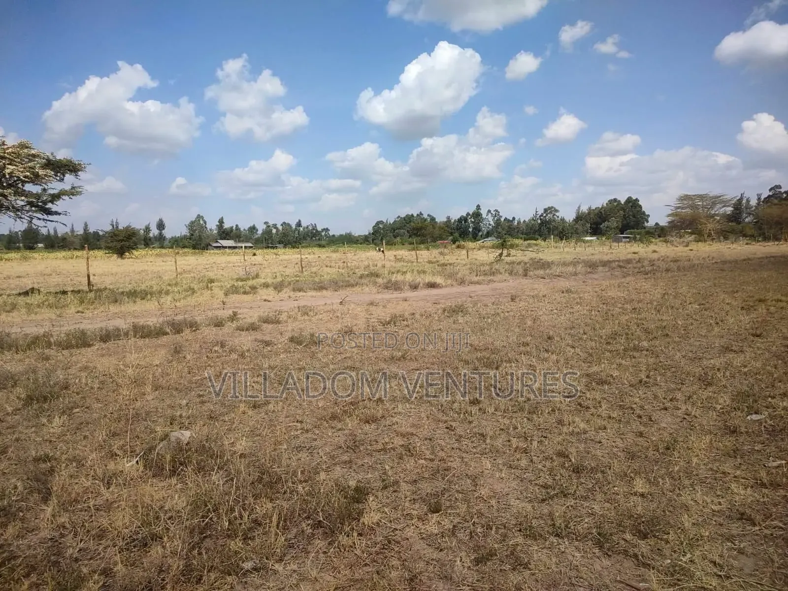 For Quick Sale 50/100 Plot in Gilgil Very Strategically Located in Kikopey