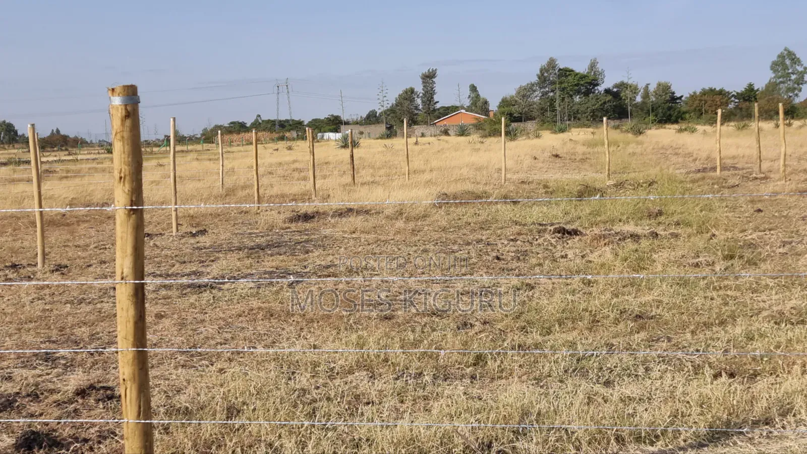 Jujafarm, Kwamurage, 50x100 Plots. in Kalimoni