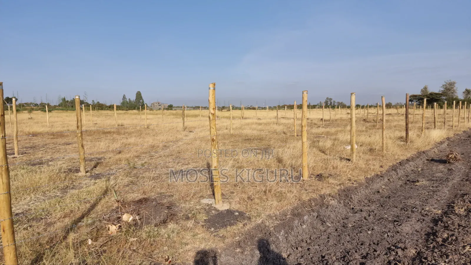 Jujafarm, Kwamurage, 50x100 Plots. in Kalimoni