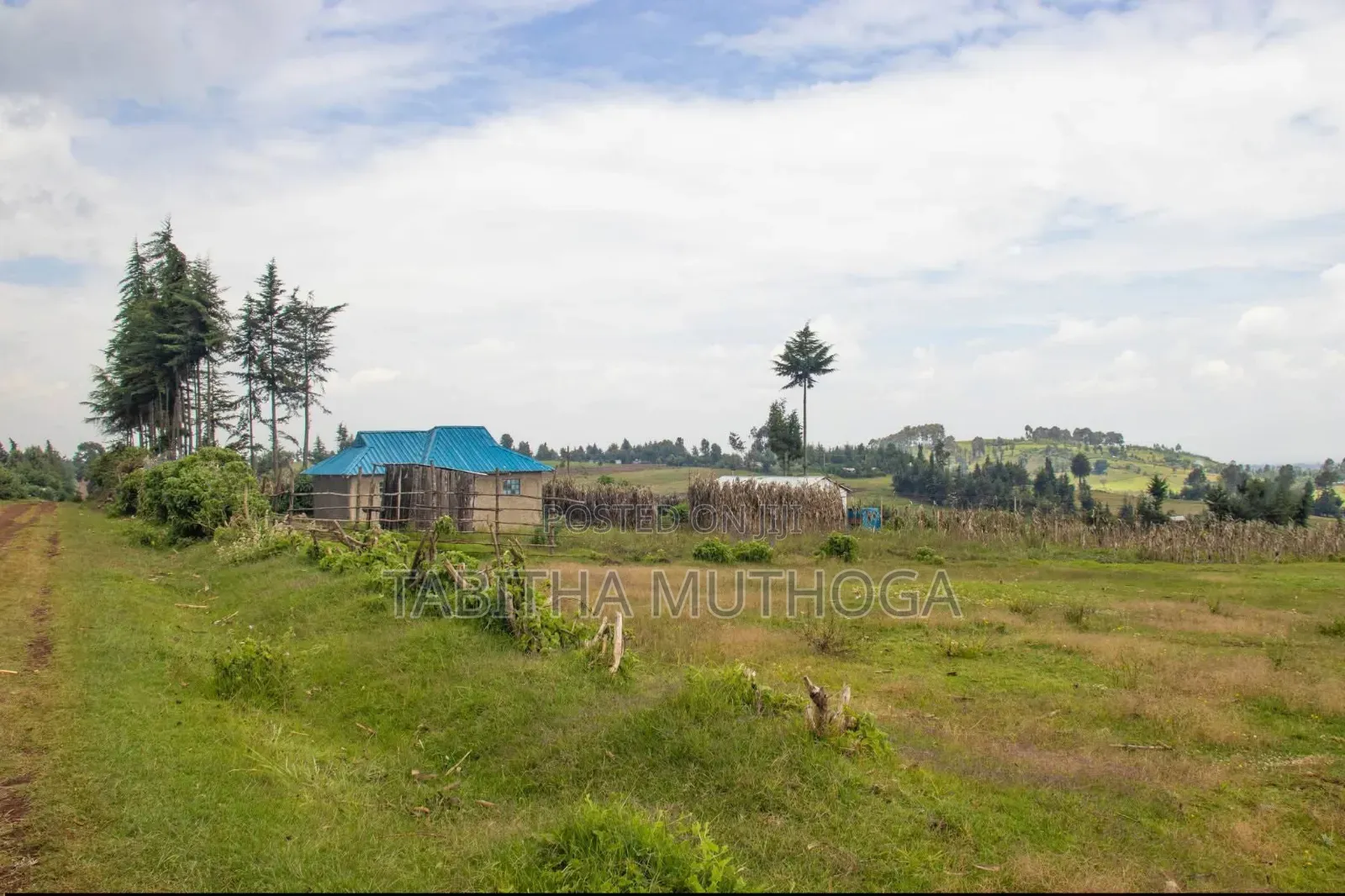 1/8 of an Acre. in Maina