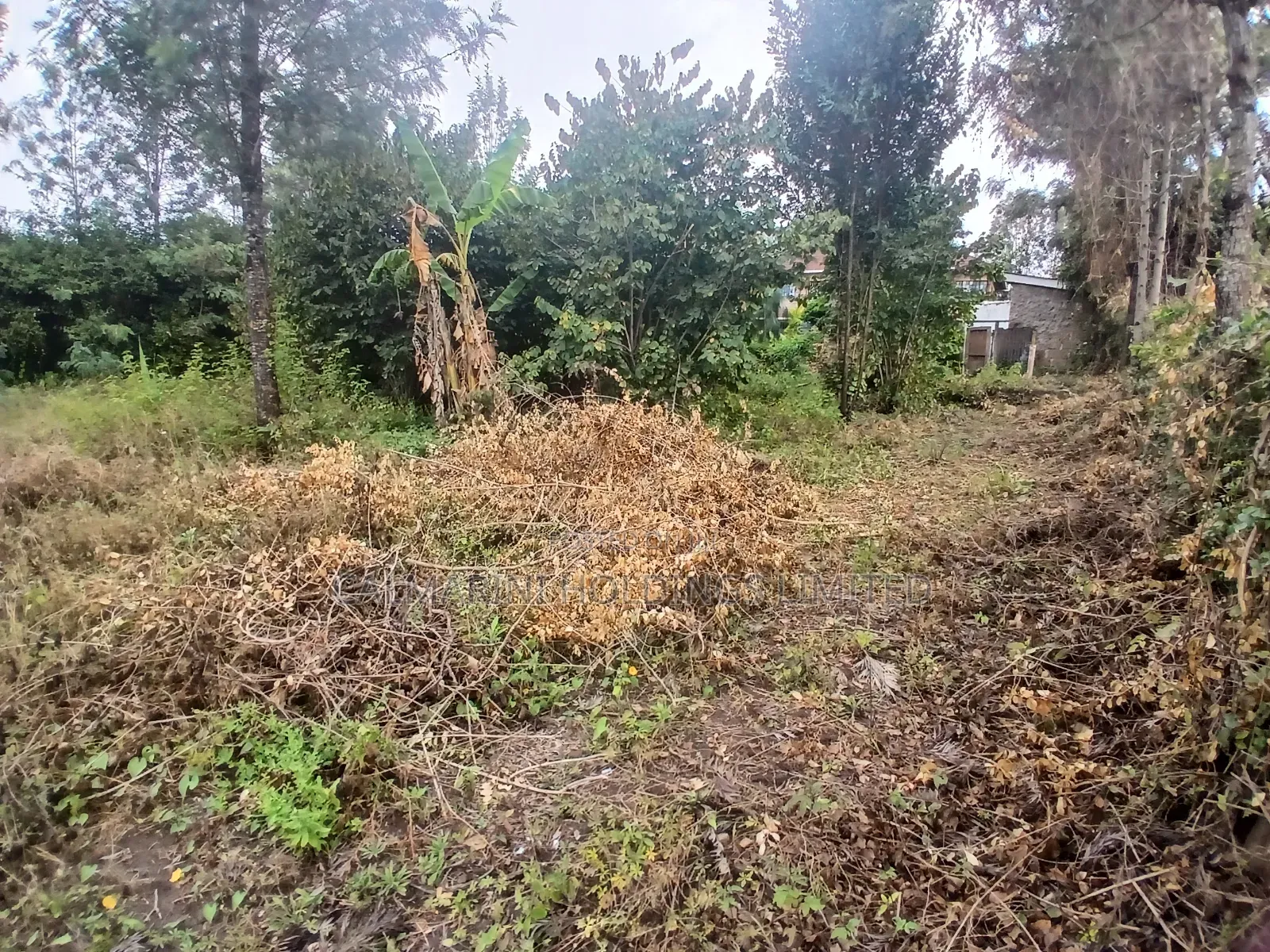 Prime Full 100 by 100 Plot in Karen View Matasia 150 Metres Off Tarmac in Merisho
