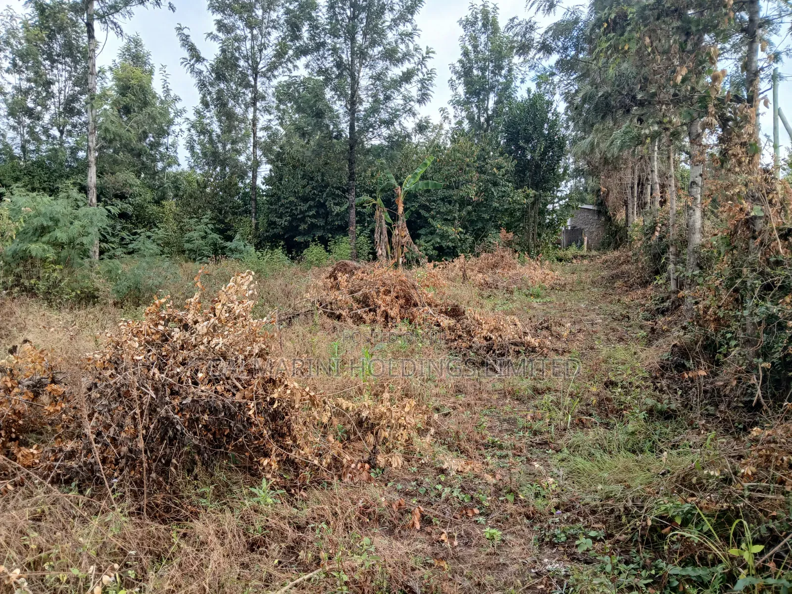 Prime Full 100 by 100 Plot in Karen View Matasia 150 Metres Off Tarmac in Merisho