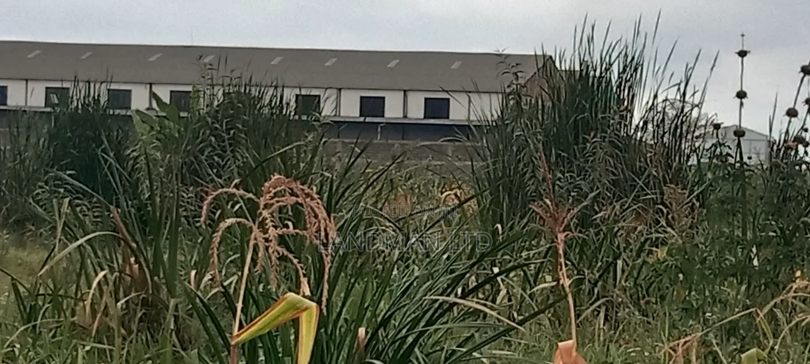 Thika Industrial Land for Sale! in Makongeni / Thika