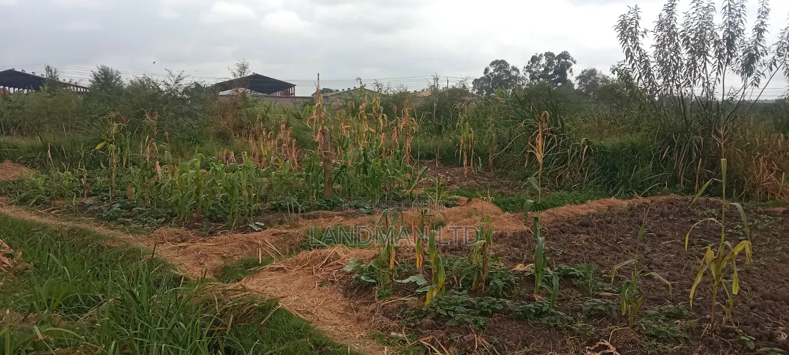 Thika Industrial Land for Sale! in Makongeni / Thika