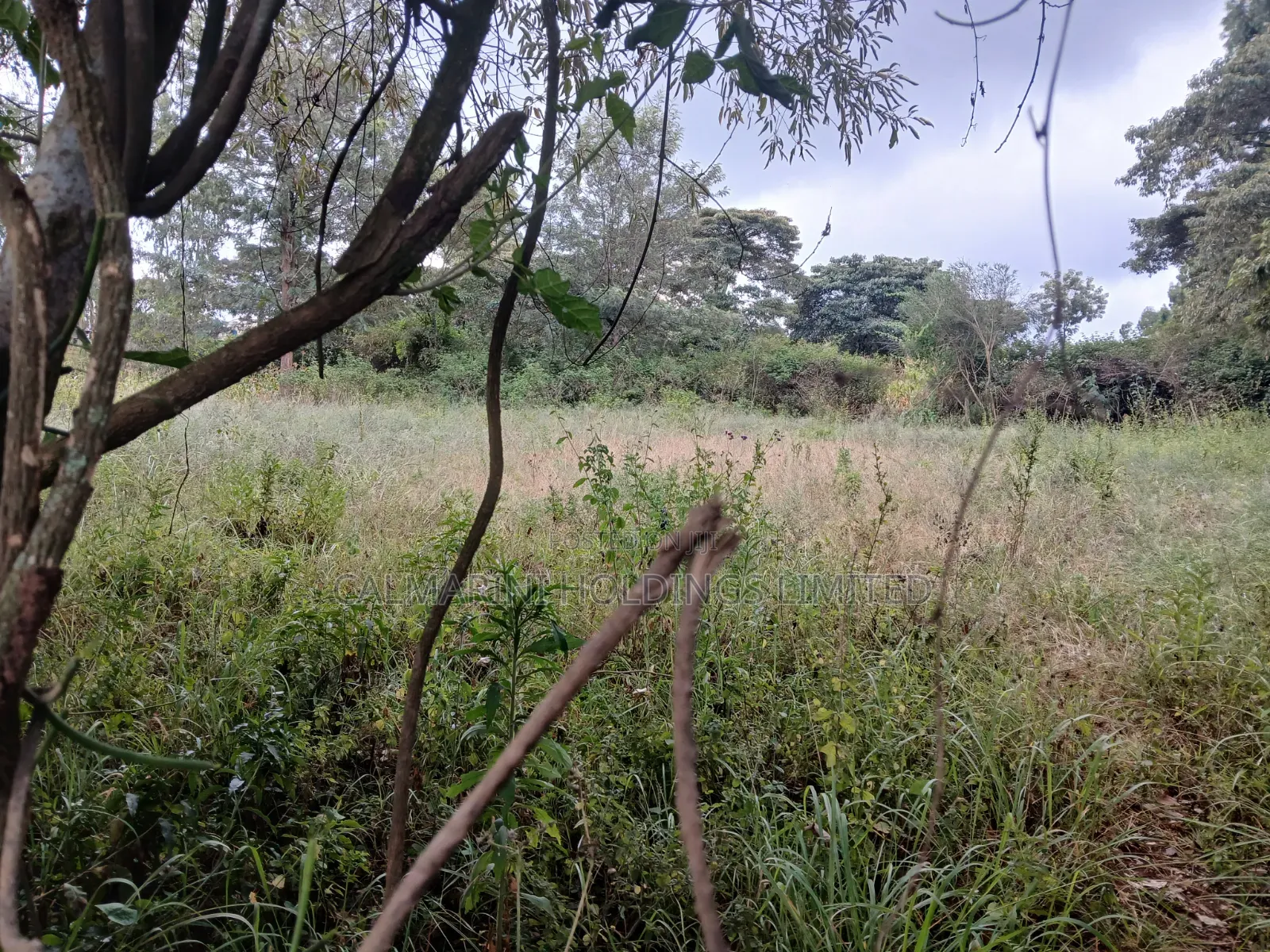 Quick Distress Deal! Eighth Acre Near SGR in Lower Merisho, Matasia in Merisho