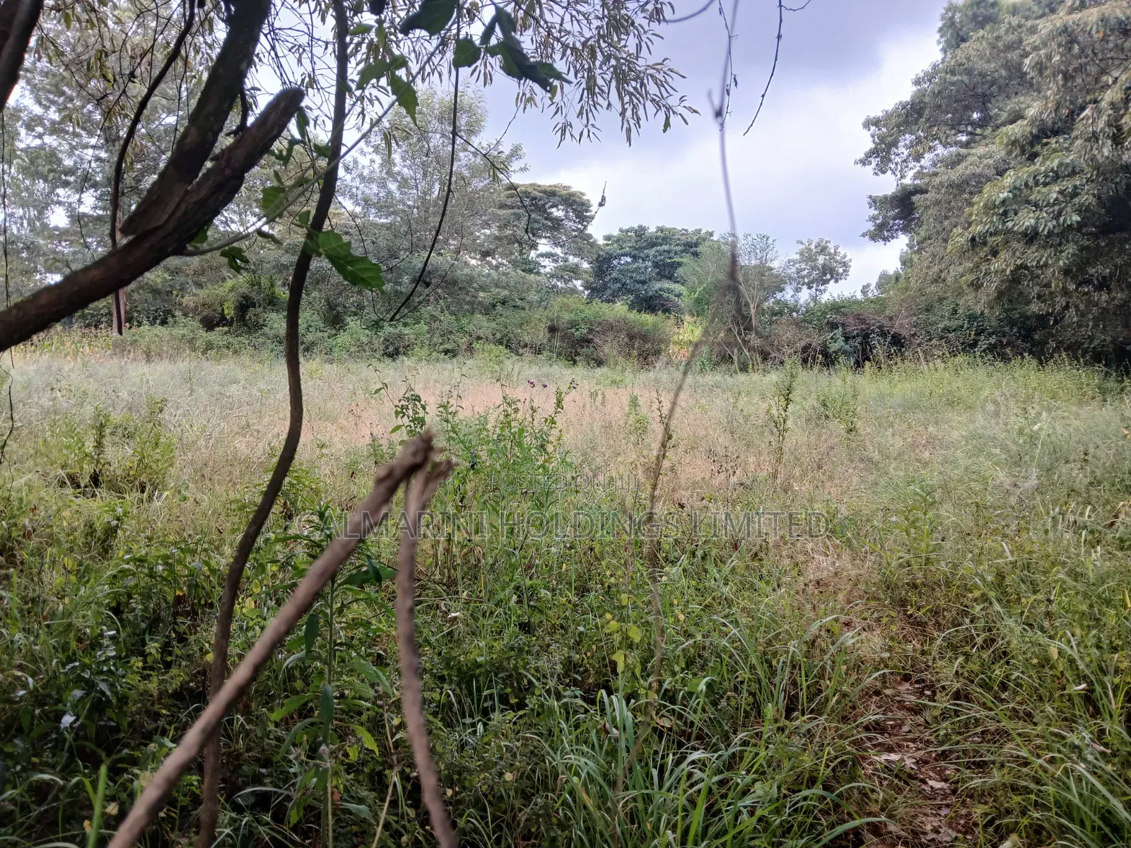 Quick Distress Deal! Eighth Acre Near SGR in Lower Merisho, Matasia in Merisho