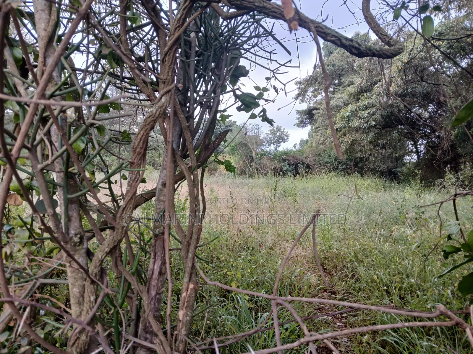 Quick Distress Deal! Eighth Acre Near SGR in Lower Merisho, Matasia in Merisho