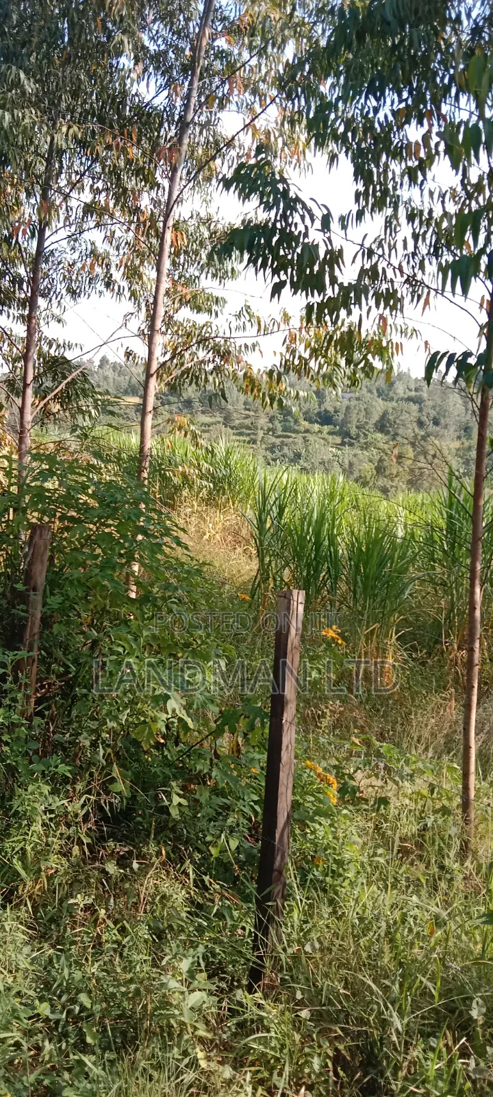 Prime 2acs Farm in Makuyu Muranga in Makuyu