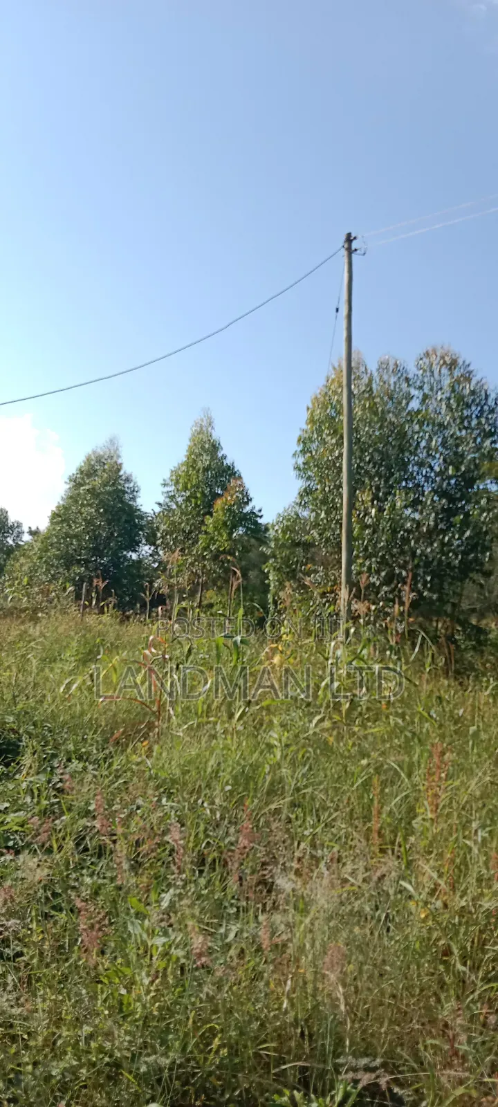 Prime 2acs Farm in Makuyu Muranga in Makuyu