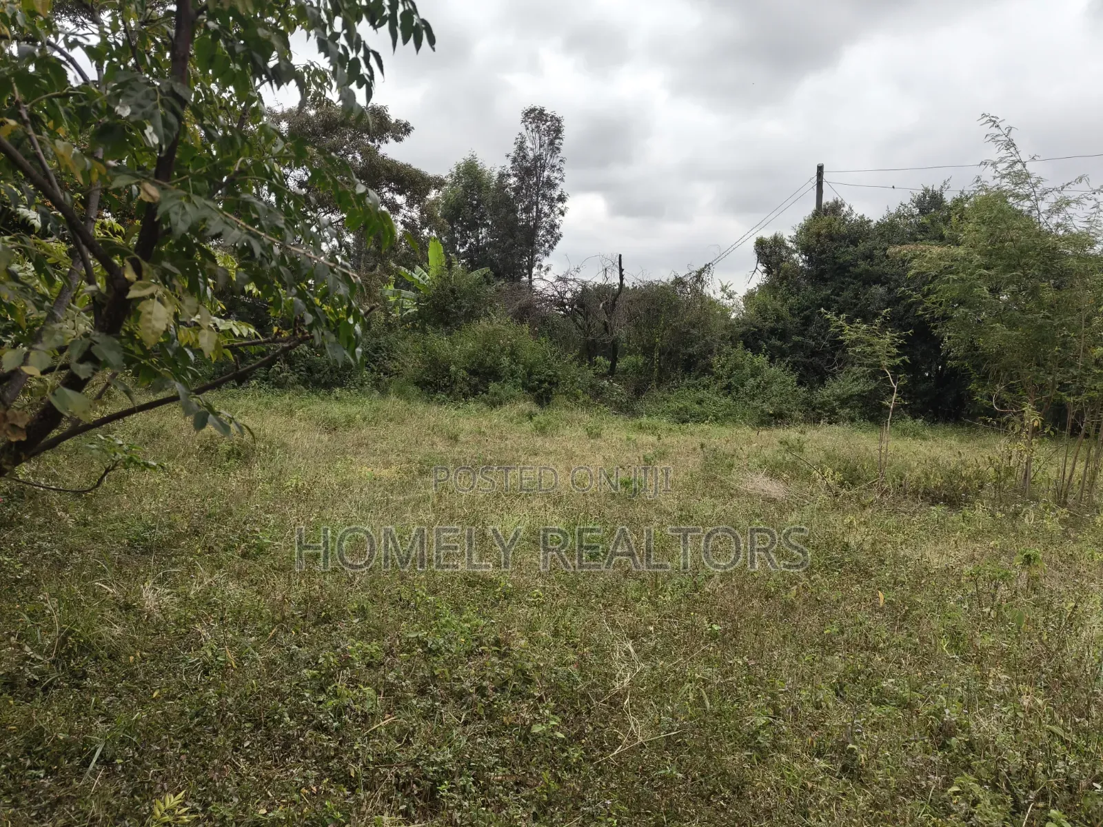 Residential Half Acre Piece of Land for Sale in Ngong, Ol Keri in Ol Keri