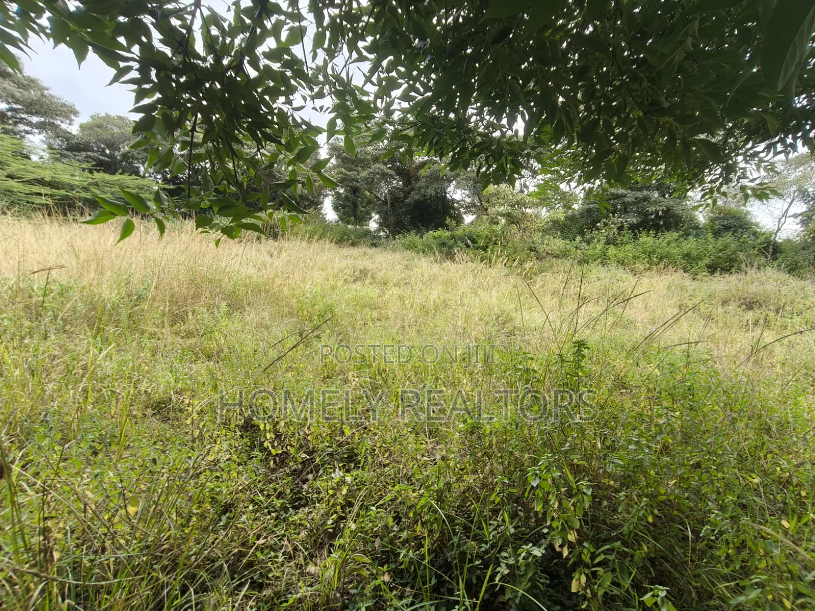 Residential Half Acre Piece of Land for Sale in Ngong, Ol Keri in Ol Keri