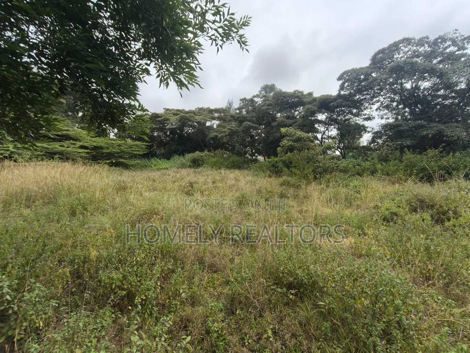 Residential Half Acre Piece of Land for Sale in Ngong, Ol Keri in Ol Keri