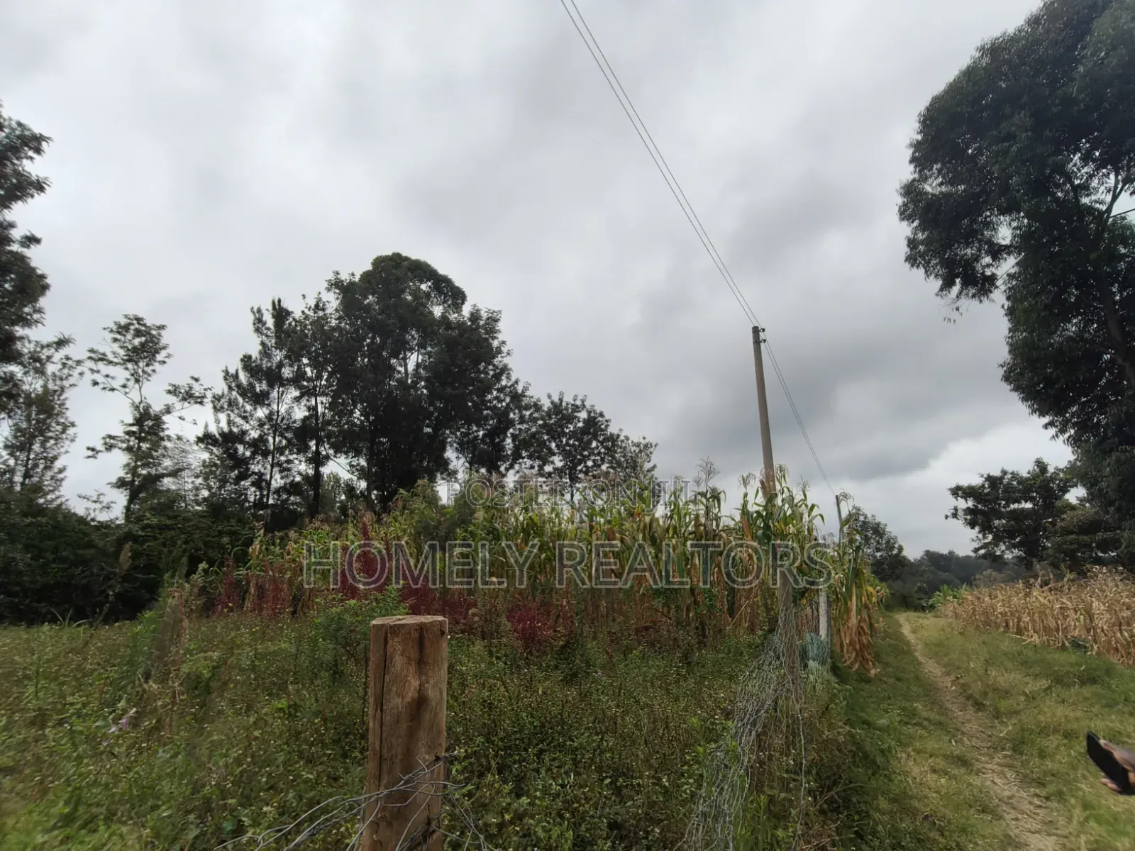 Residential Eighth Acre Plot for Sale in Ngong, Ol Keri Area in Ol Keri