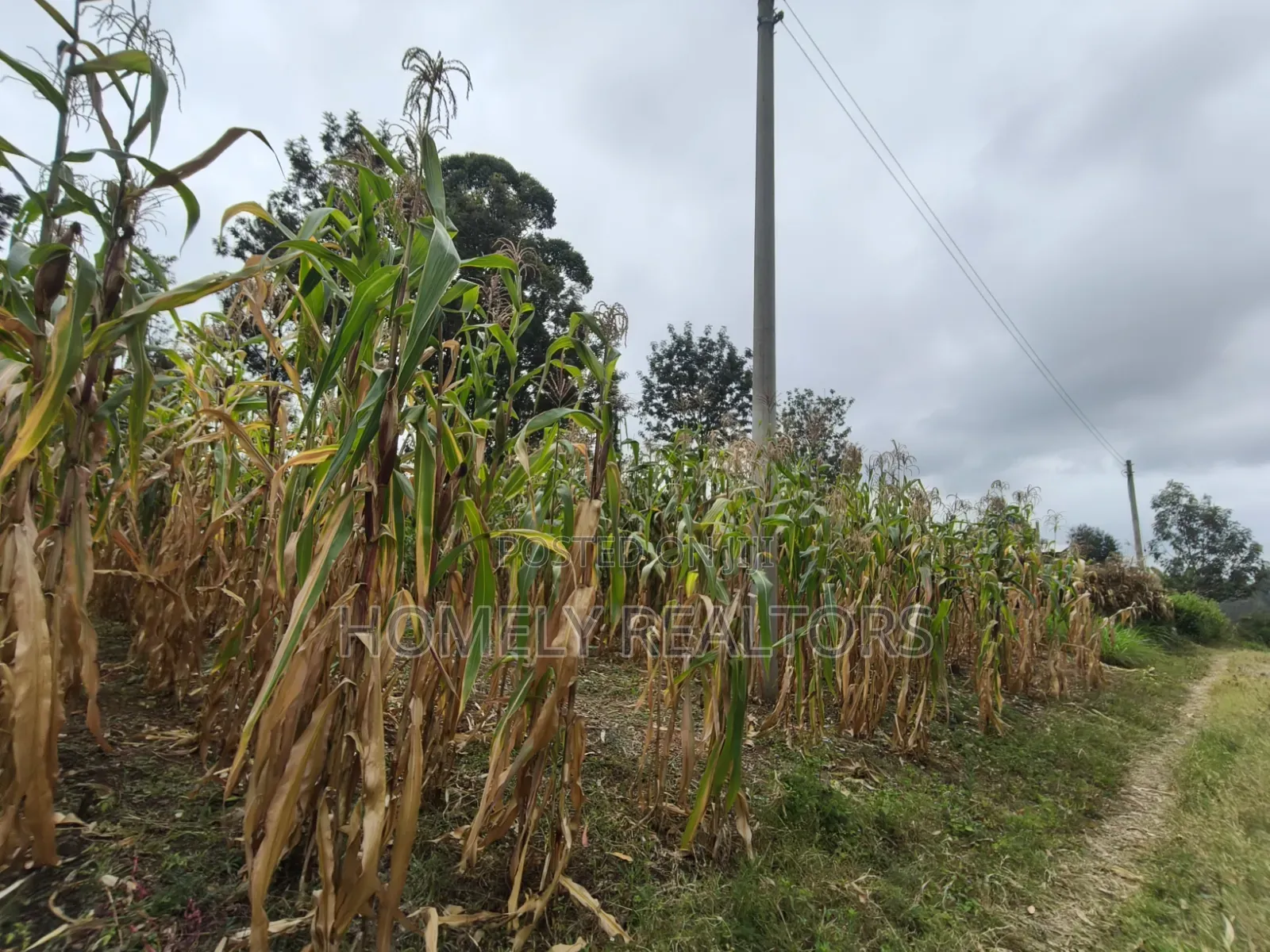 Residential Eighth Acre Plot for Sale in Ngong, Ol Keri Area in Ol Keri