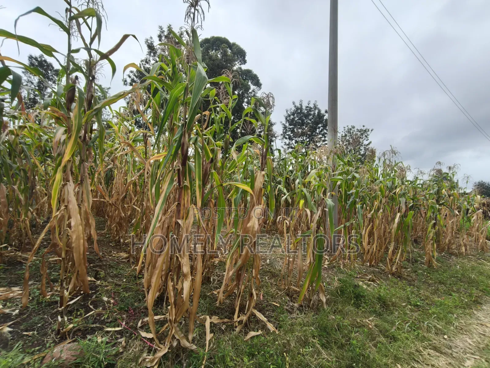 Residential Eighth Acre Plot for Sale in Ngong, Ol Keri Area in Ol Keri