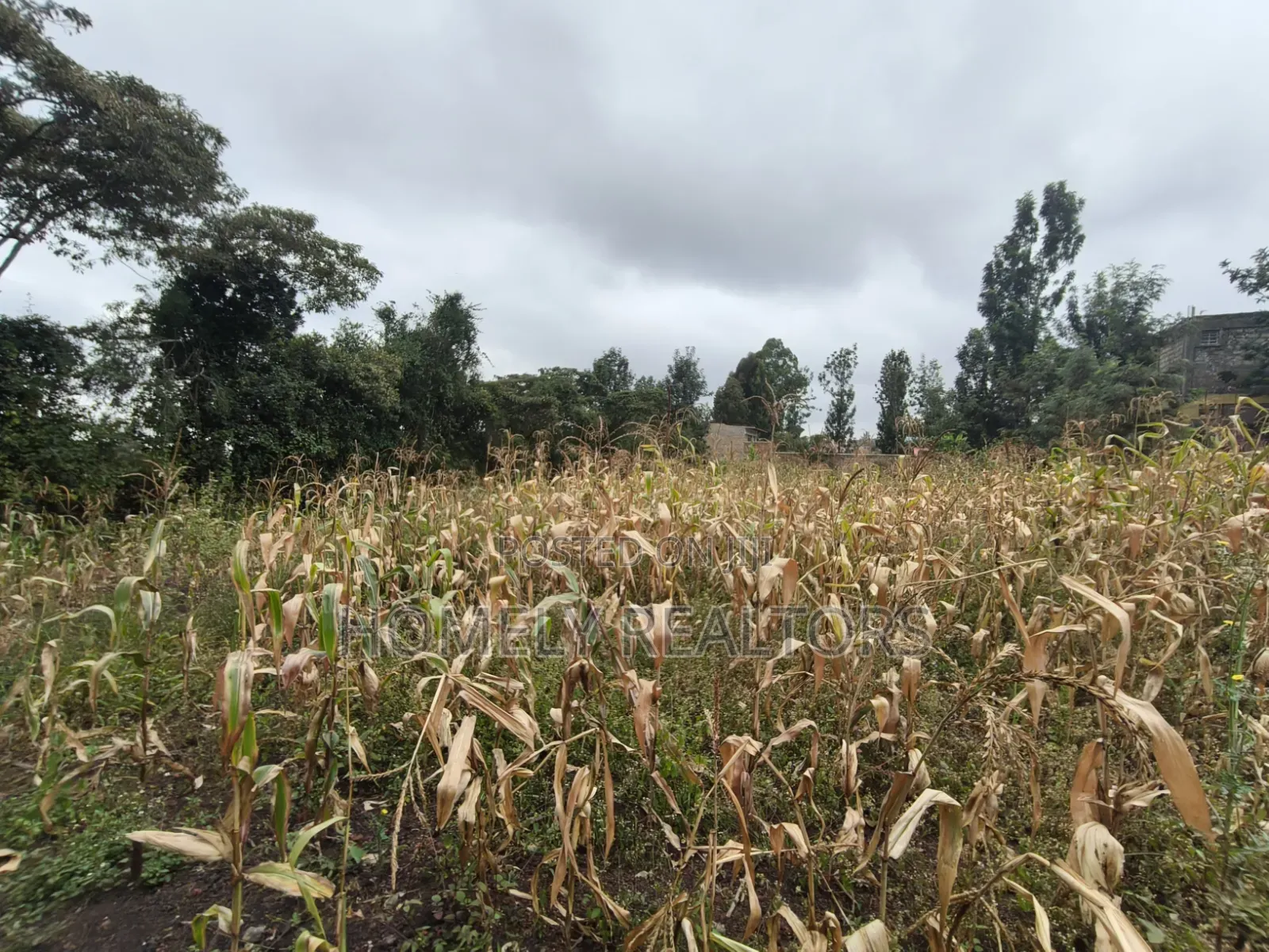 Quarter Acre Plot for Sale in Ngong, Ol Keri Near the Tarmac in Ol Keri