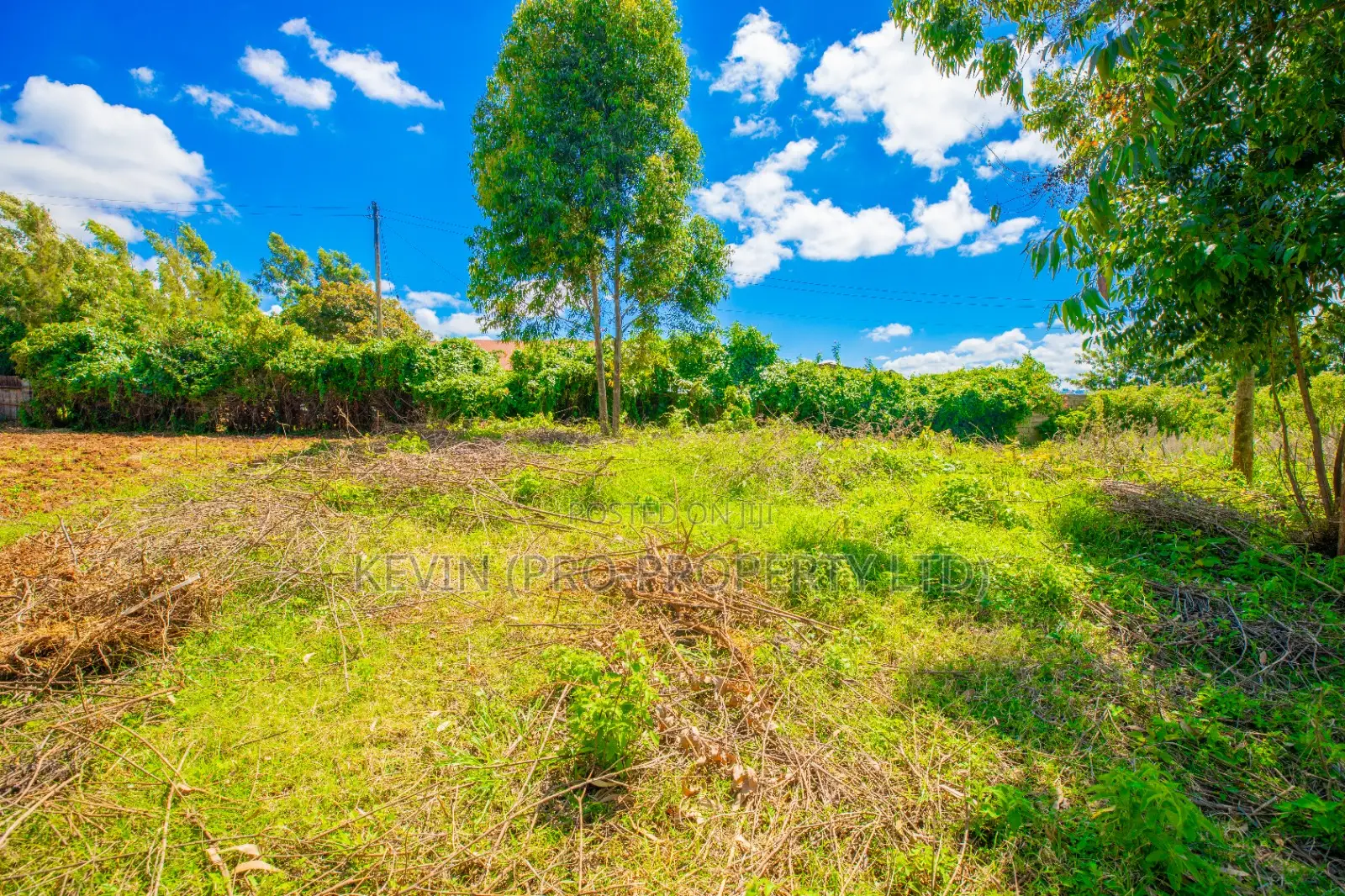 Land Plot in Limuru, Ndeiya Makutano: Ideal Investment Opportunity in Ndeiya