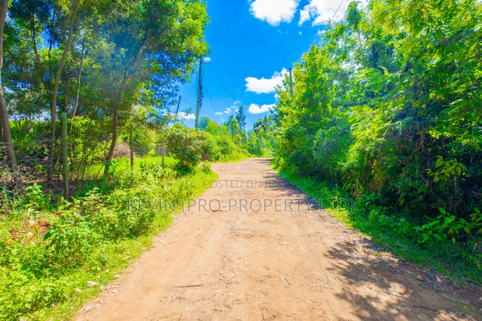 Land Plot in Limuru, Ndeiya Makutano: Ideal Investment Opportunity in Ndeiya