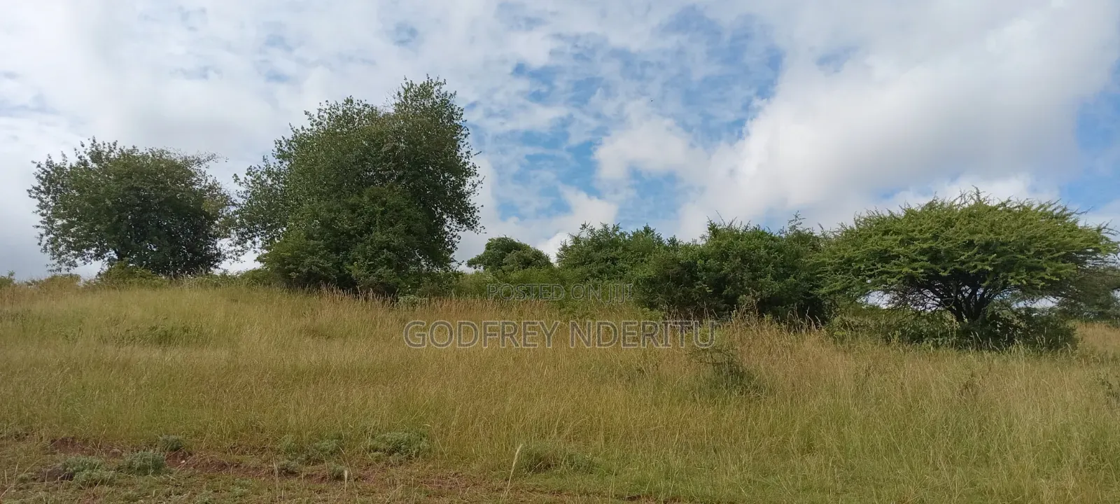 22.5 Acres in Thika in Ngoingwa Estate