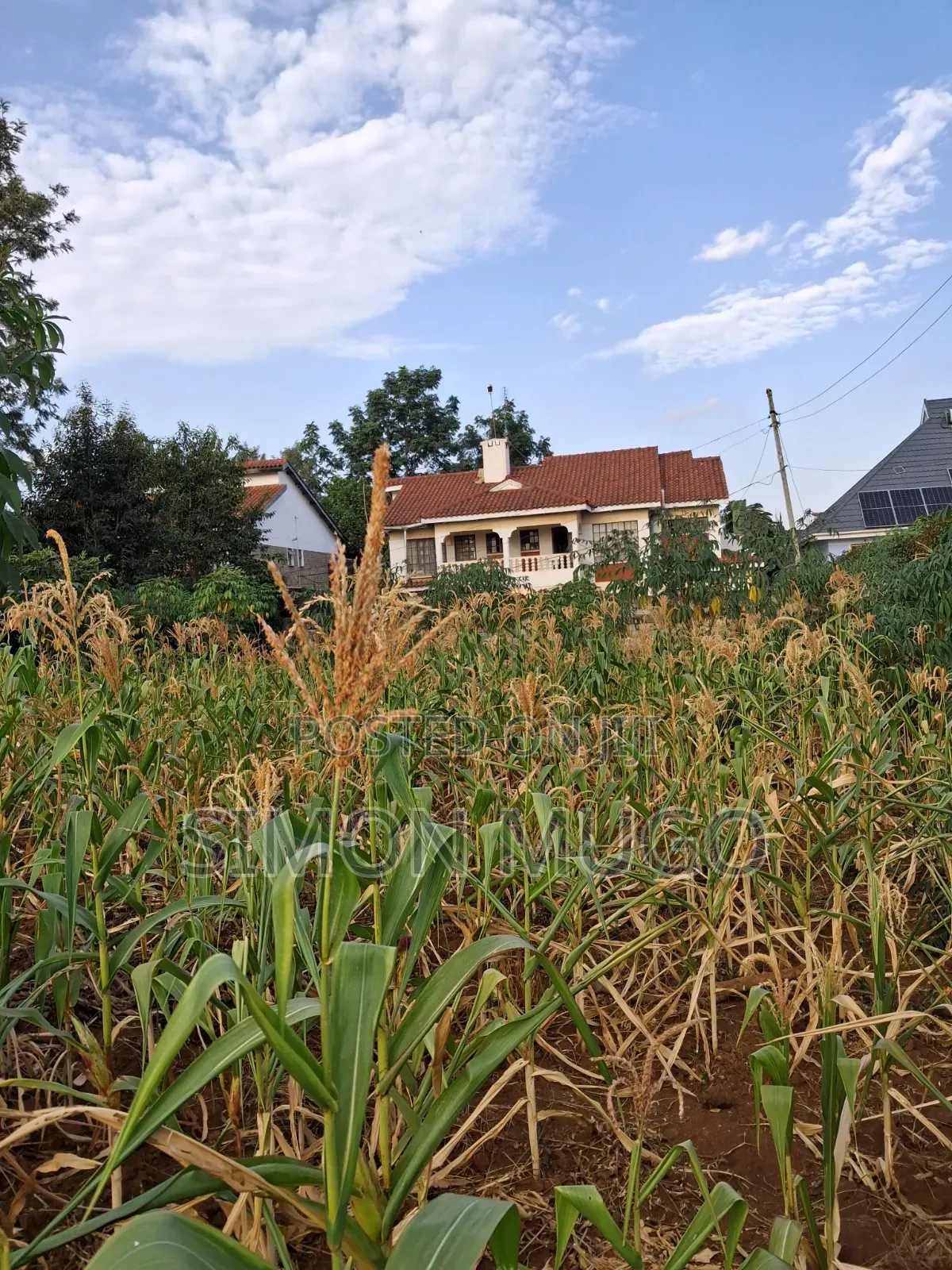 K/ Sukari Muranga Road Fully Serviced Well Drained Red Soil 1/4 Acre in Kahawa Sukari
