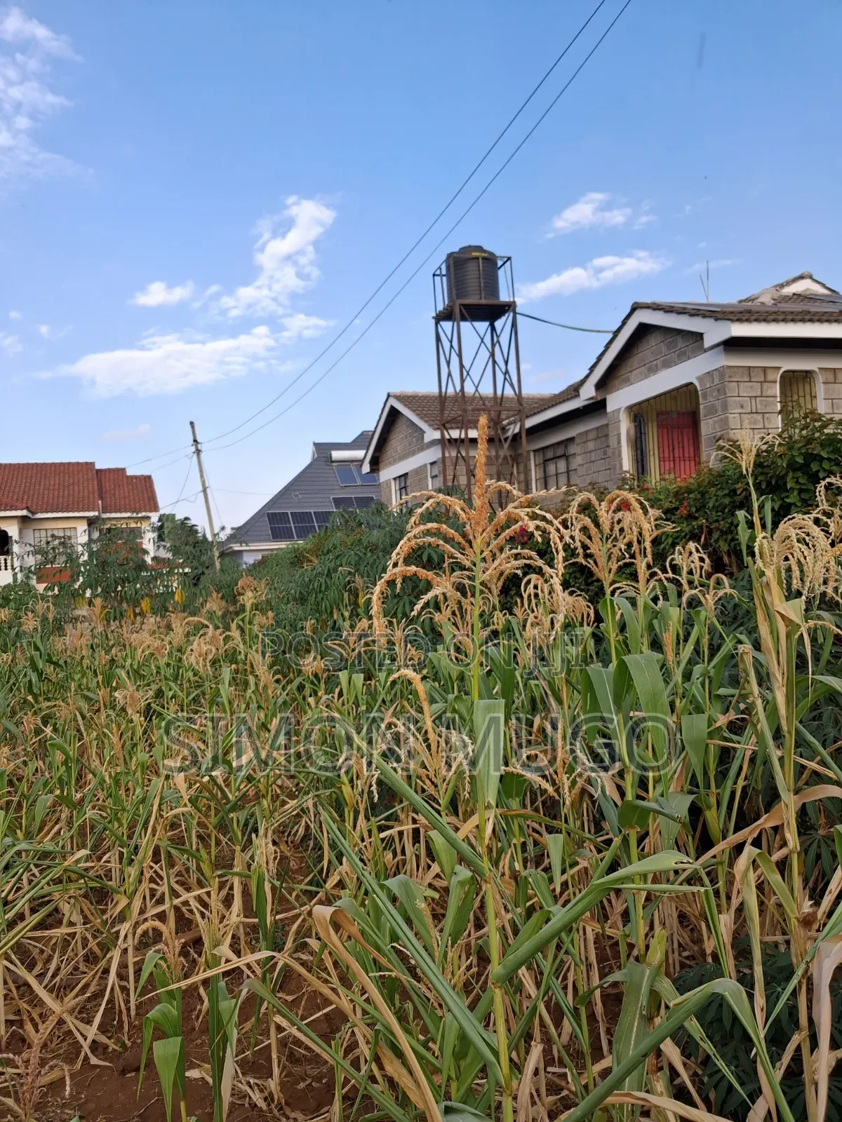 K/ Sukari Muranga Road Fully Serviced Well Drained Red Soil 1/4 Acre in Kahawa Sukari