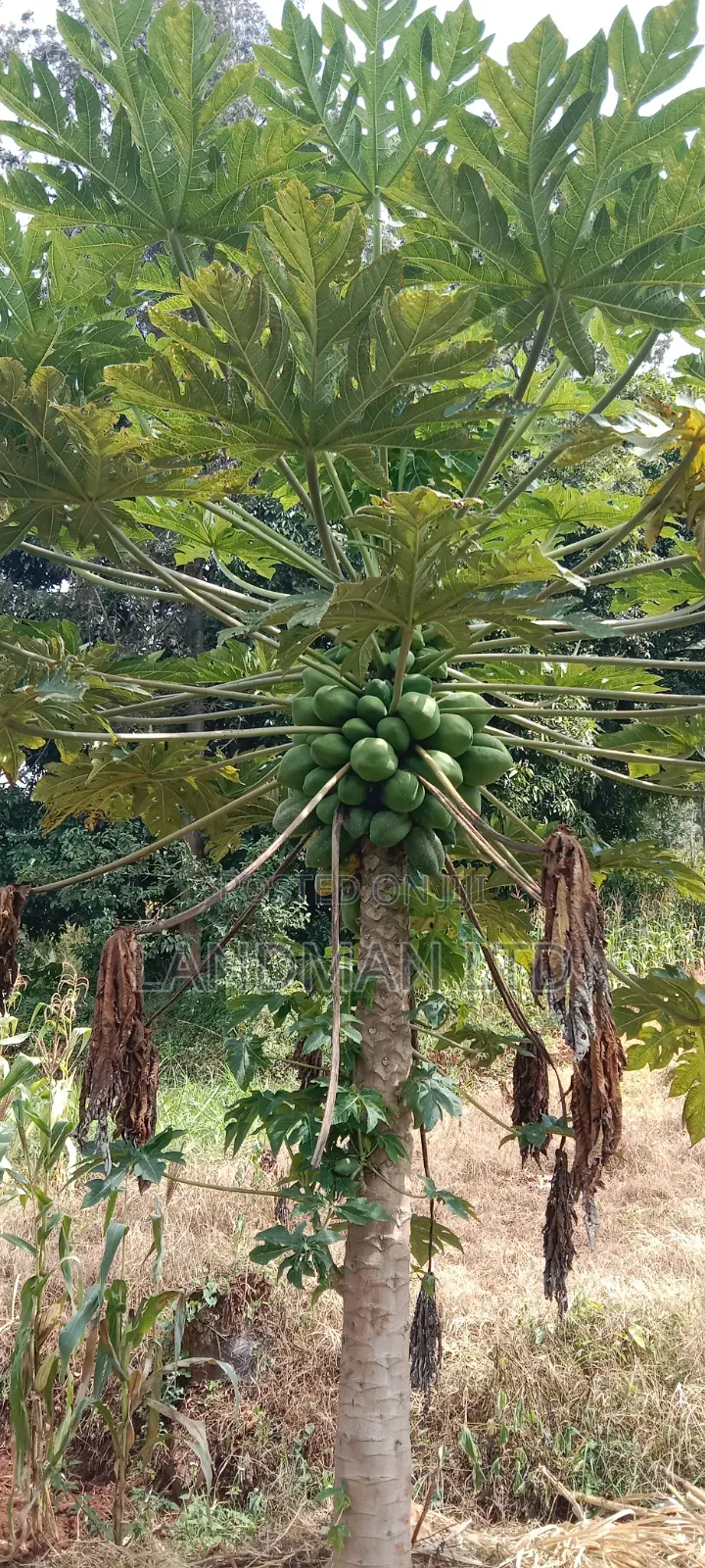 Prime 2 Acres Muranga Gaitega in Mbiri