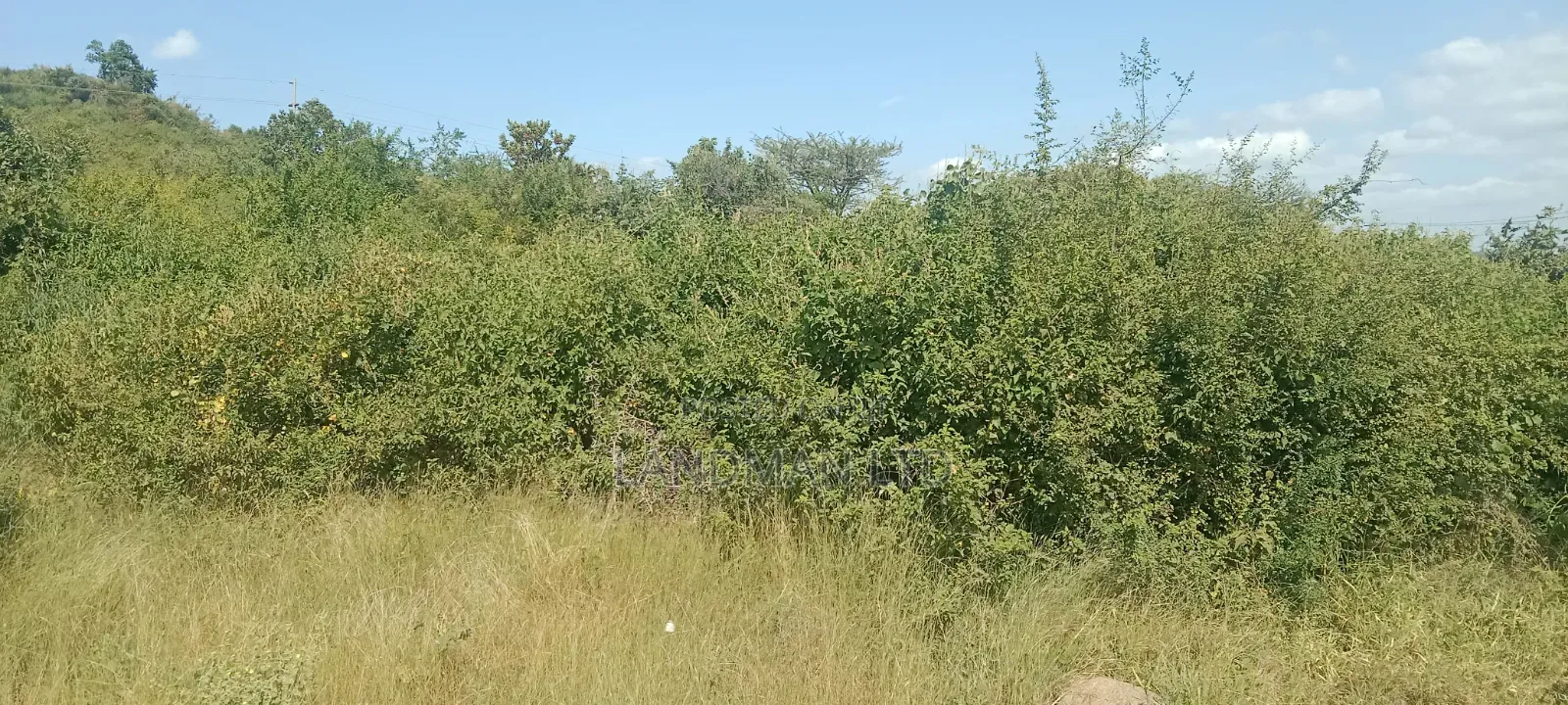 Highway Commercial Land -Distress Sale in Kambiti