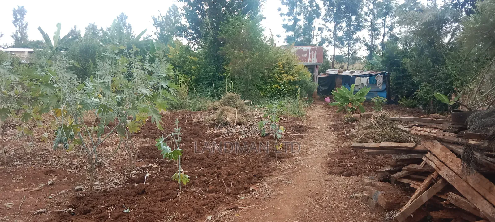 Prime 1/4 Acre - Kiharu Muranga in Mbiri