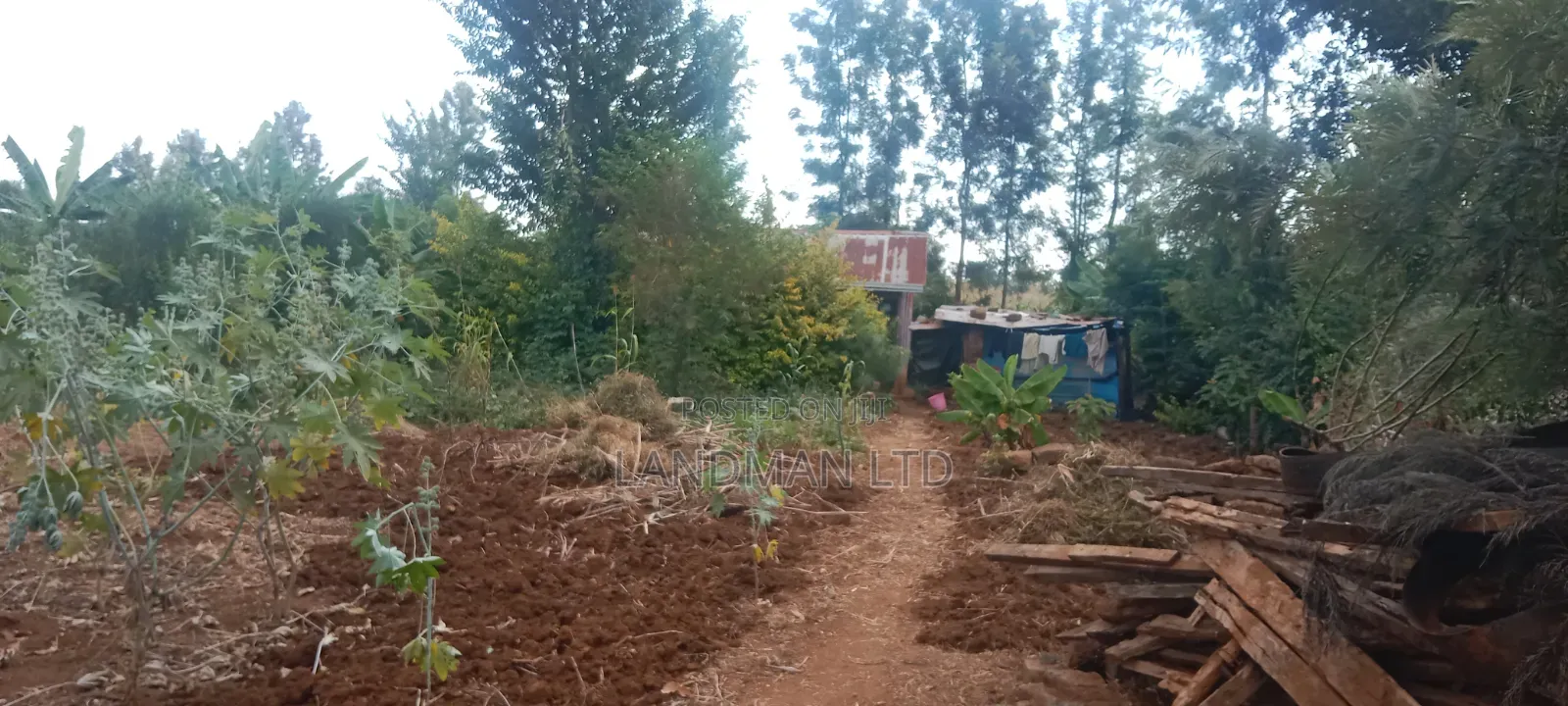 Prime 1/4 Acre - Kiharu Muranga in Mbiri