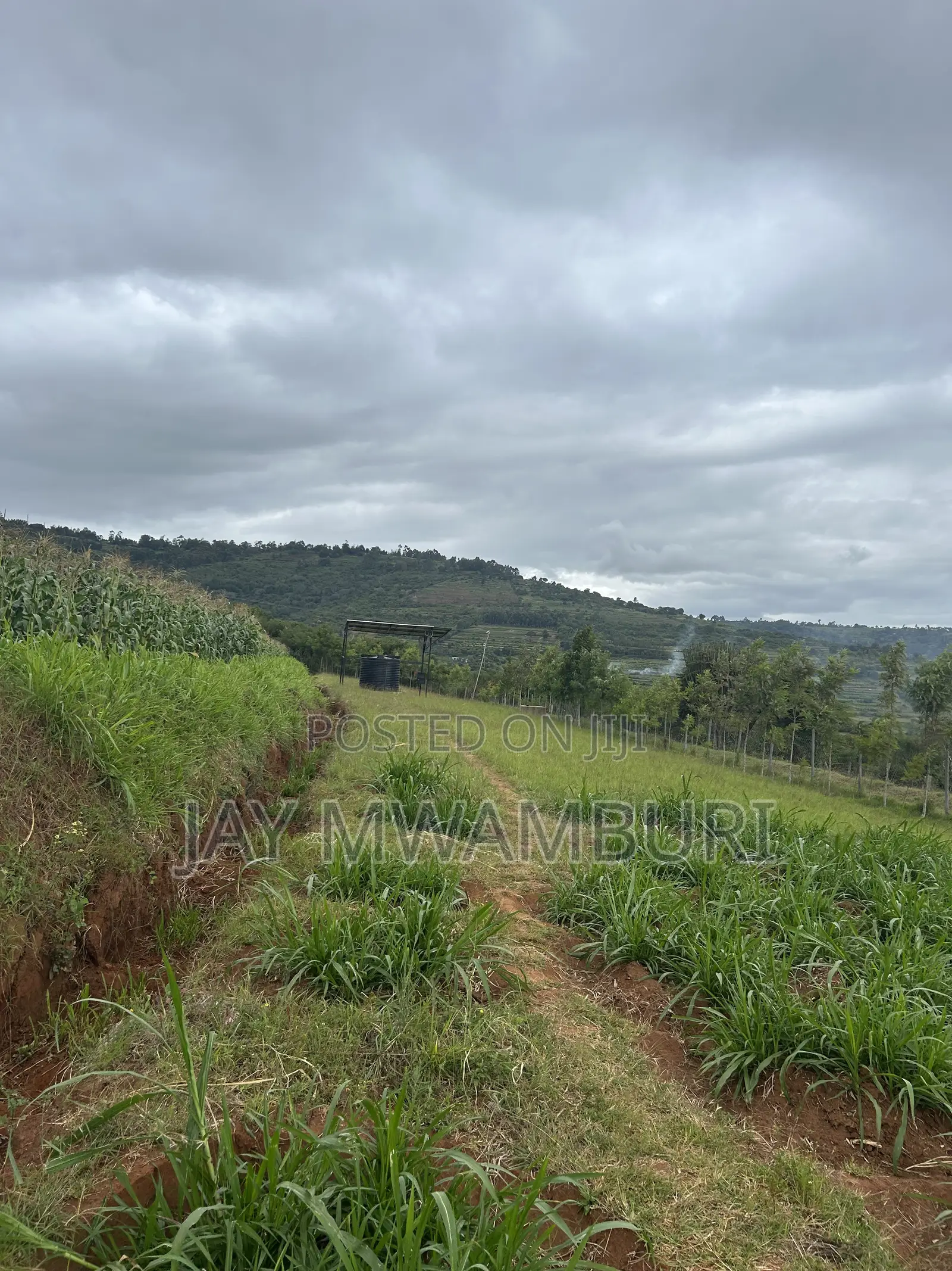 2 Acres Land Mua Hills in Mua Hills