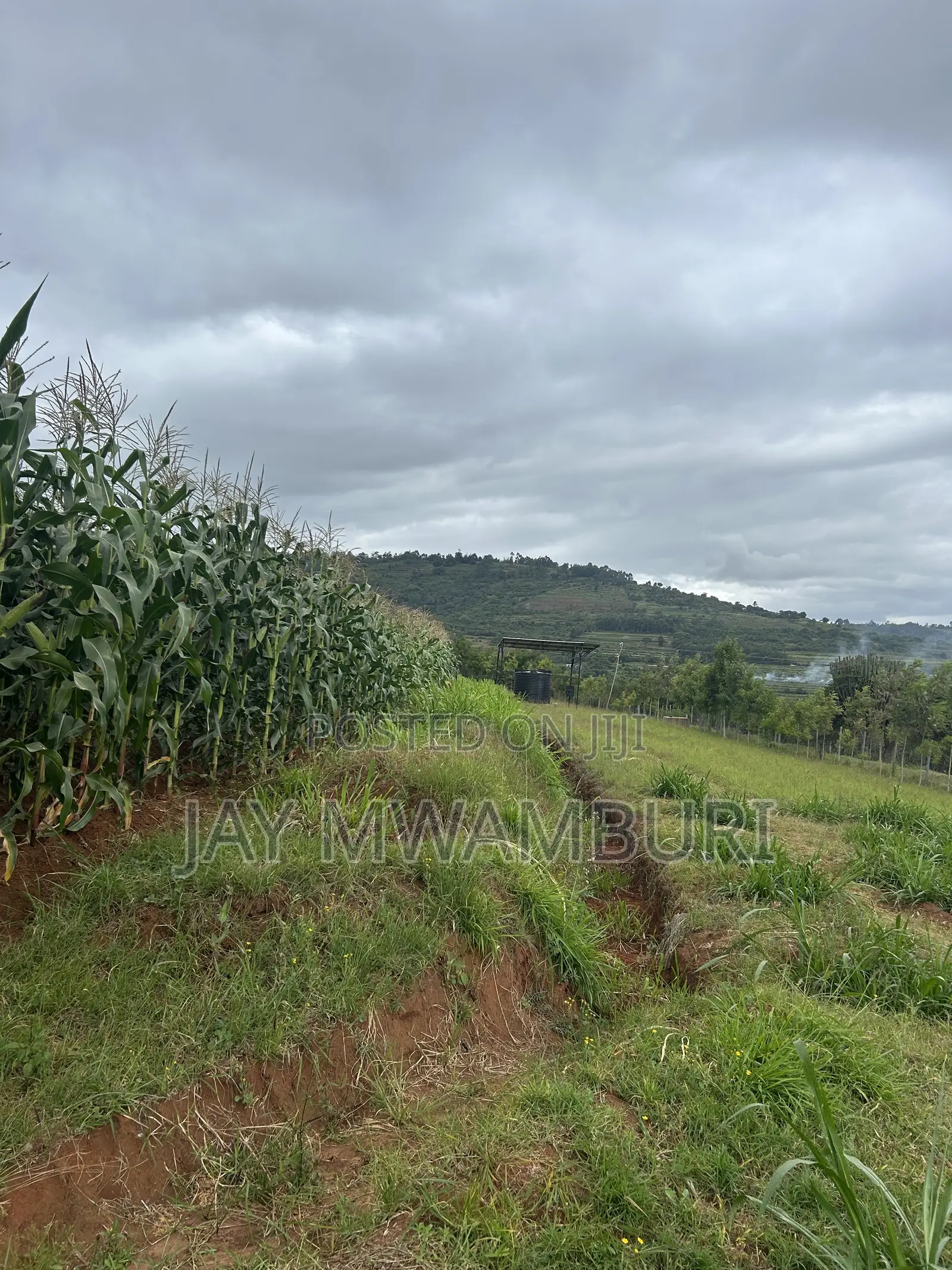 2 Acres Land Mua Hills in Mua Hills