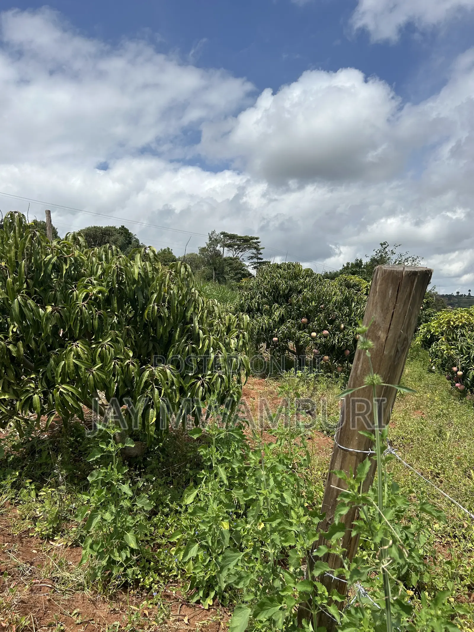 2 Acres Land Mua Hills in Mua Hills