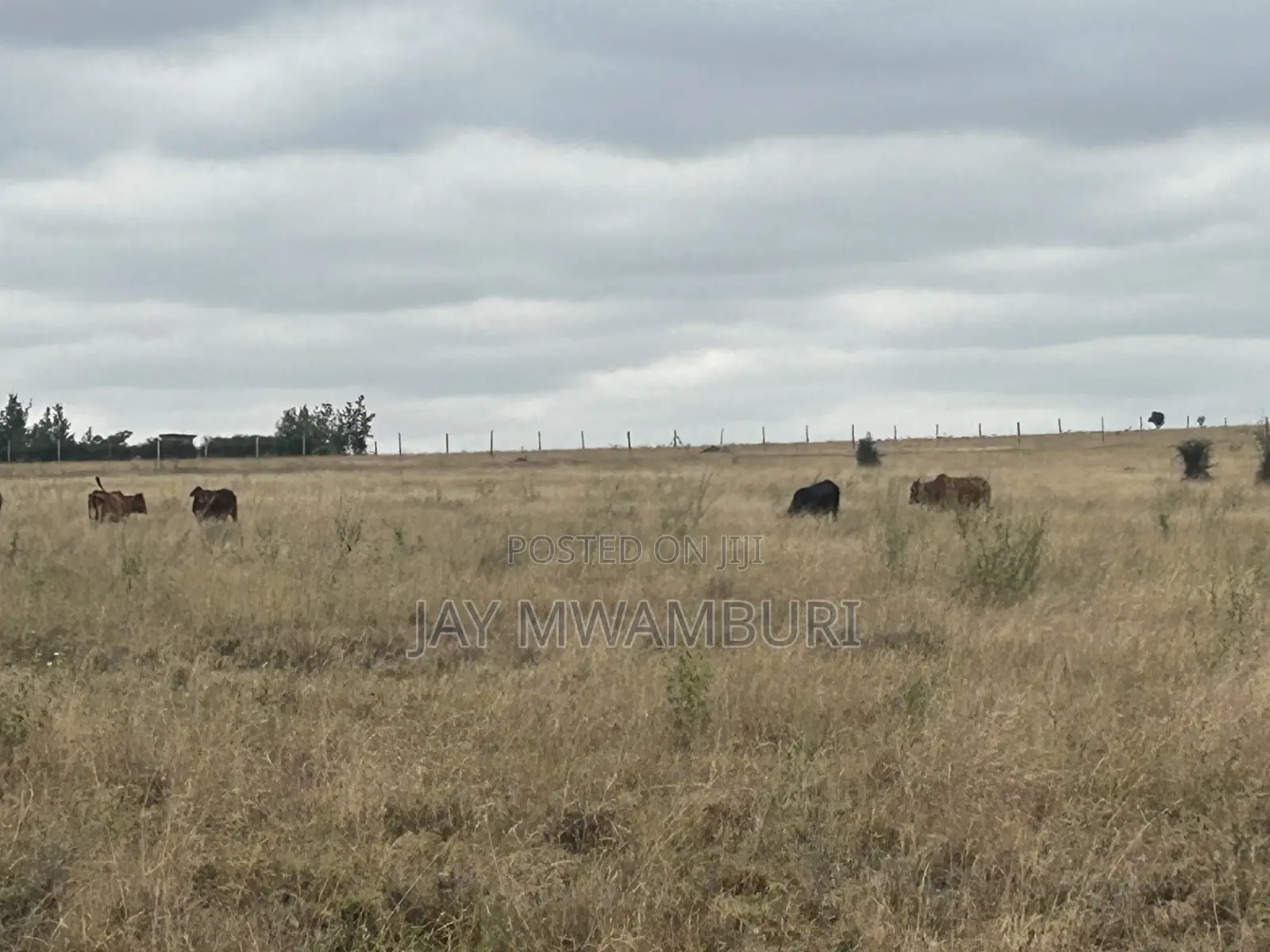 5 Acre Farm Land Isinya in Isinya